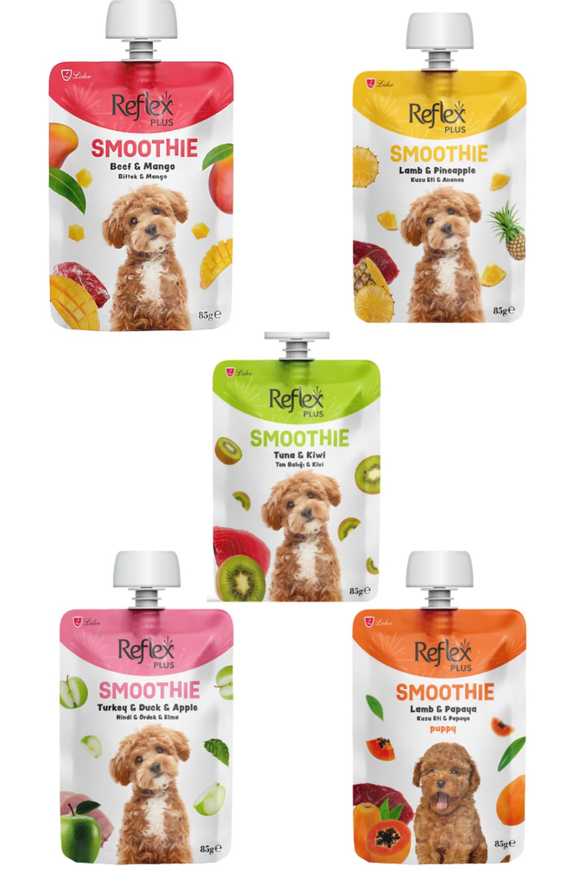Reflex Smoothie 5li Karışık Set