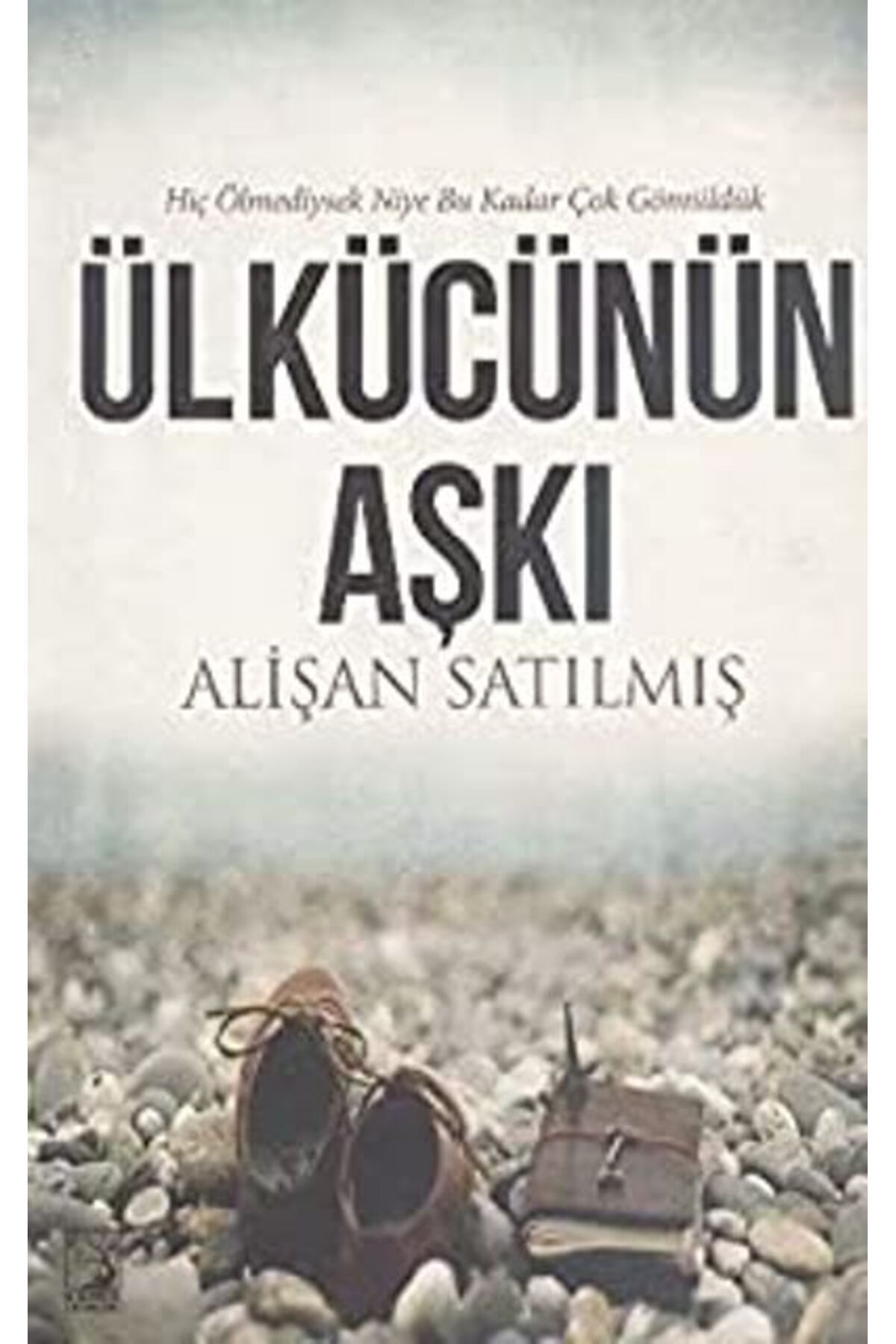 Kamer Yayınları Ülkücünün Aşkı