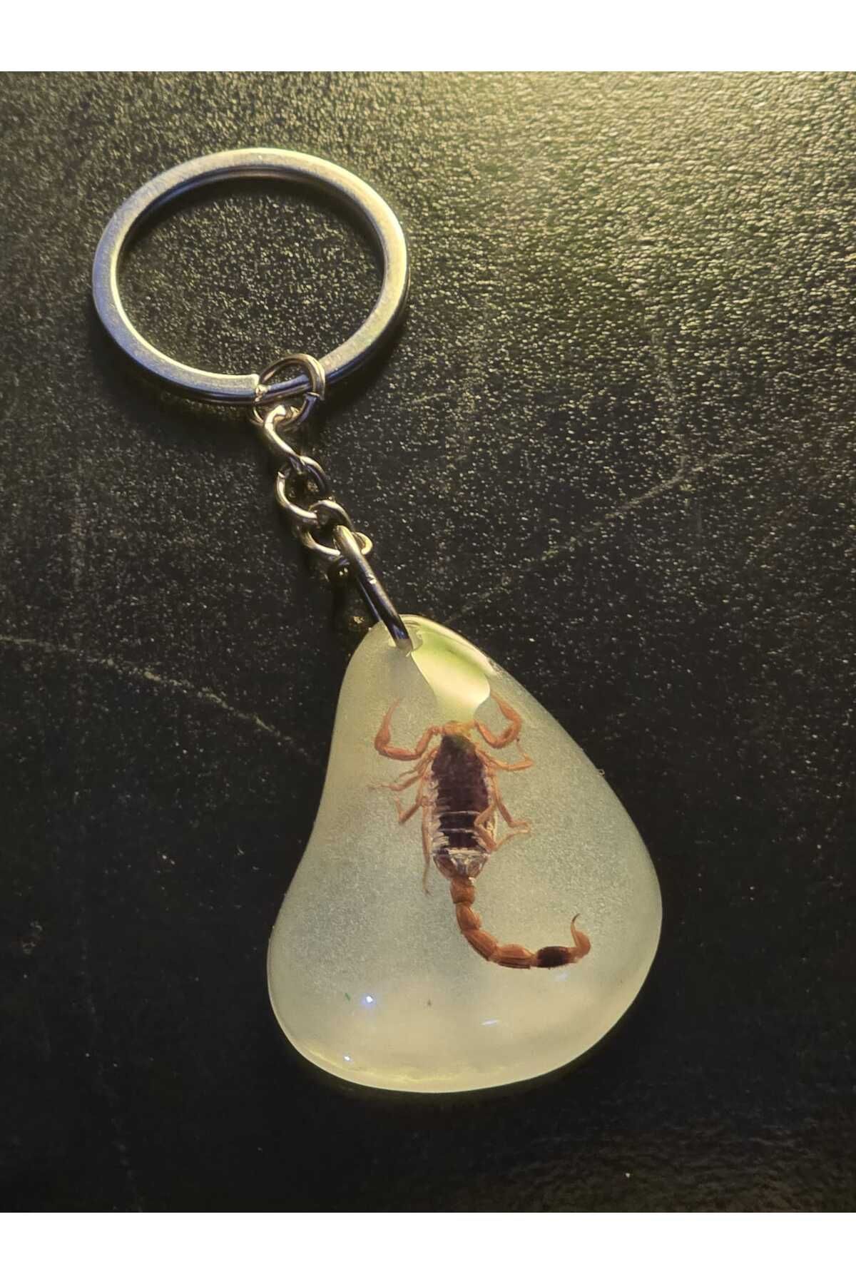 AMBER CRAFTS Orijinal Amber Craft Gerçek Akrep Anahtarlık