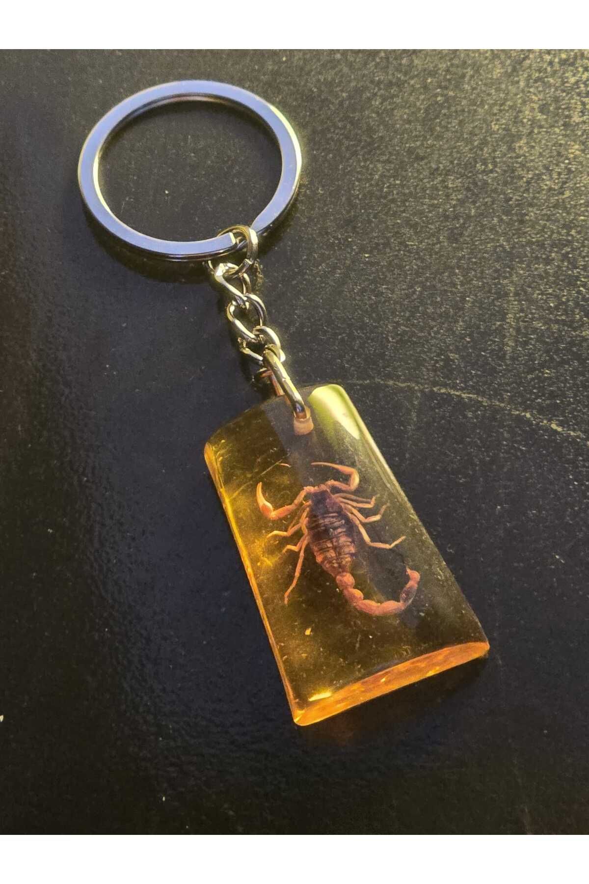 AMBER CRAFTS Orijinal Amber Craft Gerçek Akrep Anahtarlık