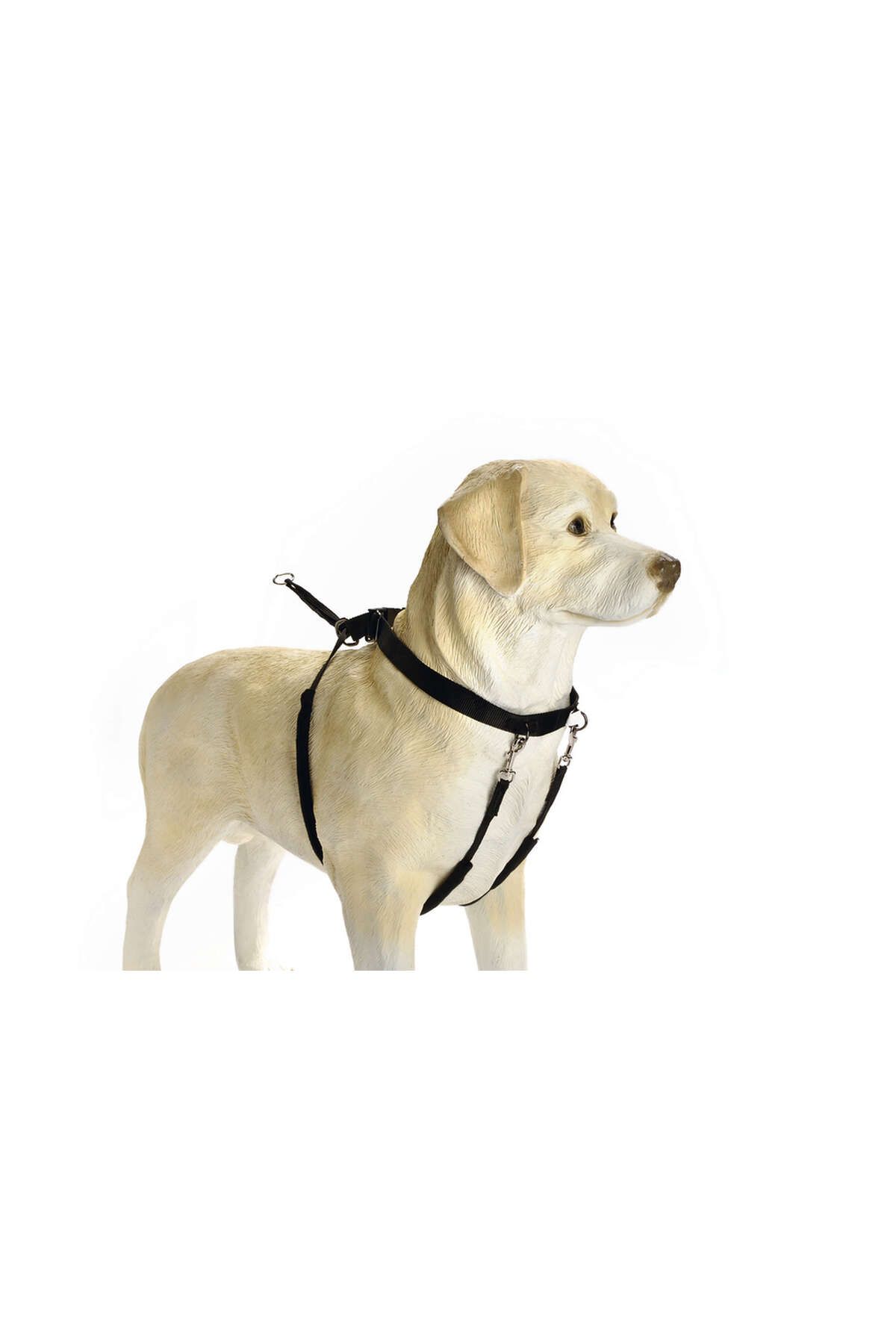 Beeztees Köpek Yürüyüş Eğitim ve Düzeltme Tasması, L GLSTD