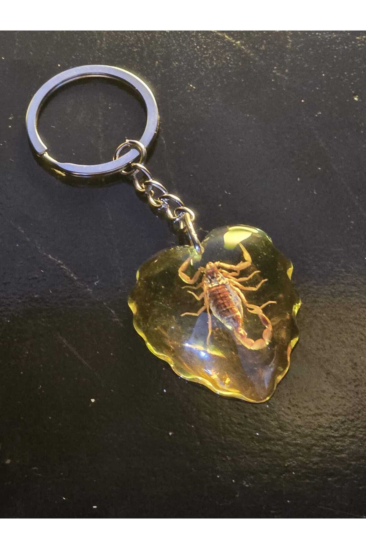 AMBER CRAFTS Orijinal Amber Craft Marka Akrep Anahtarlık