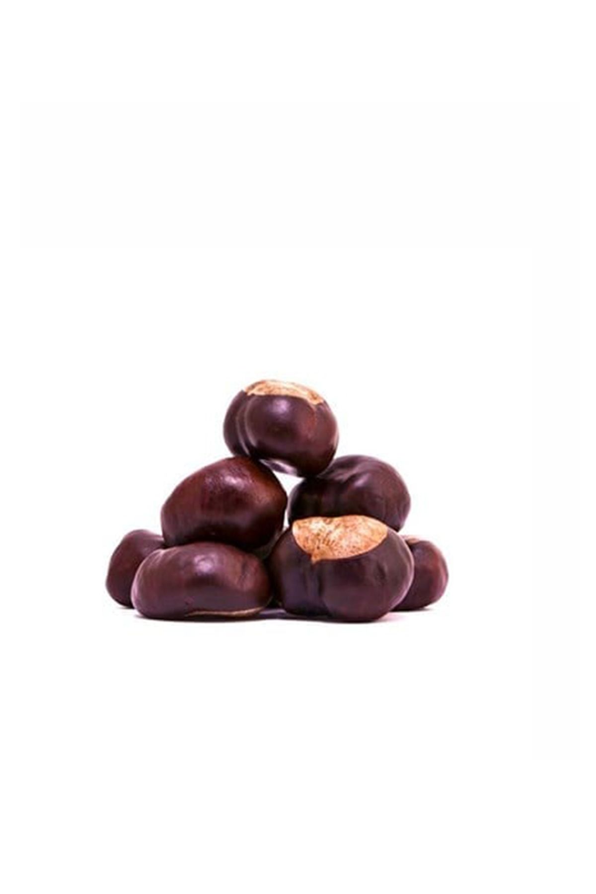 nk organik At Kestanesi 50gr