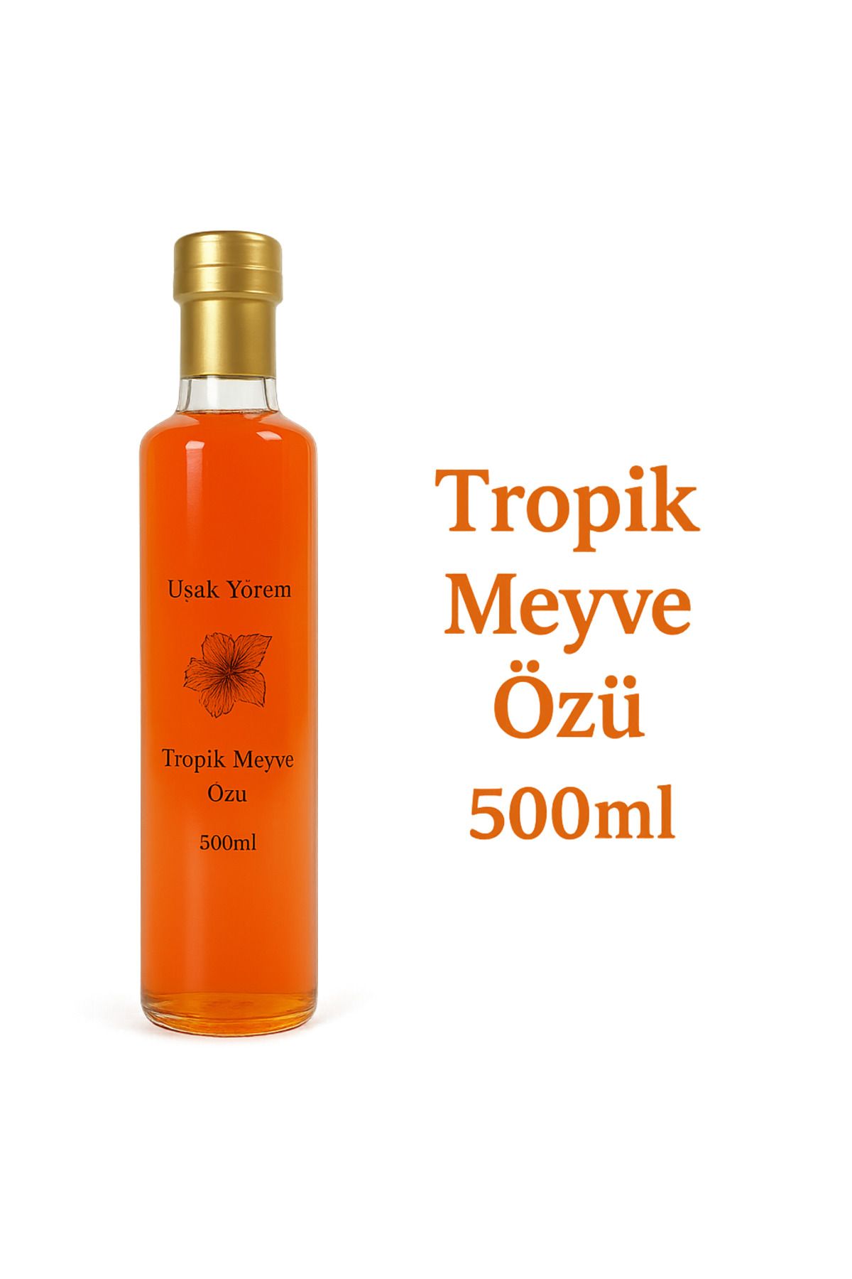 Uşak Yörem Şarküteri Tropikal Meyve Özü 500Ml Uşak Yörem