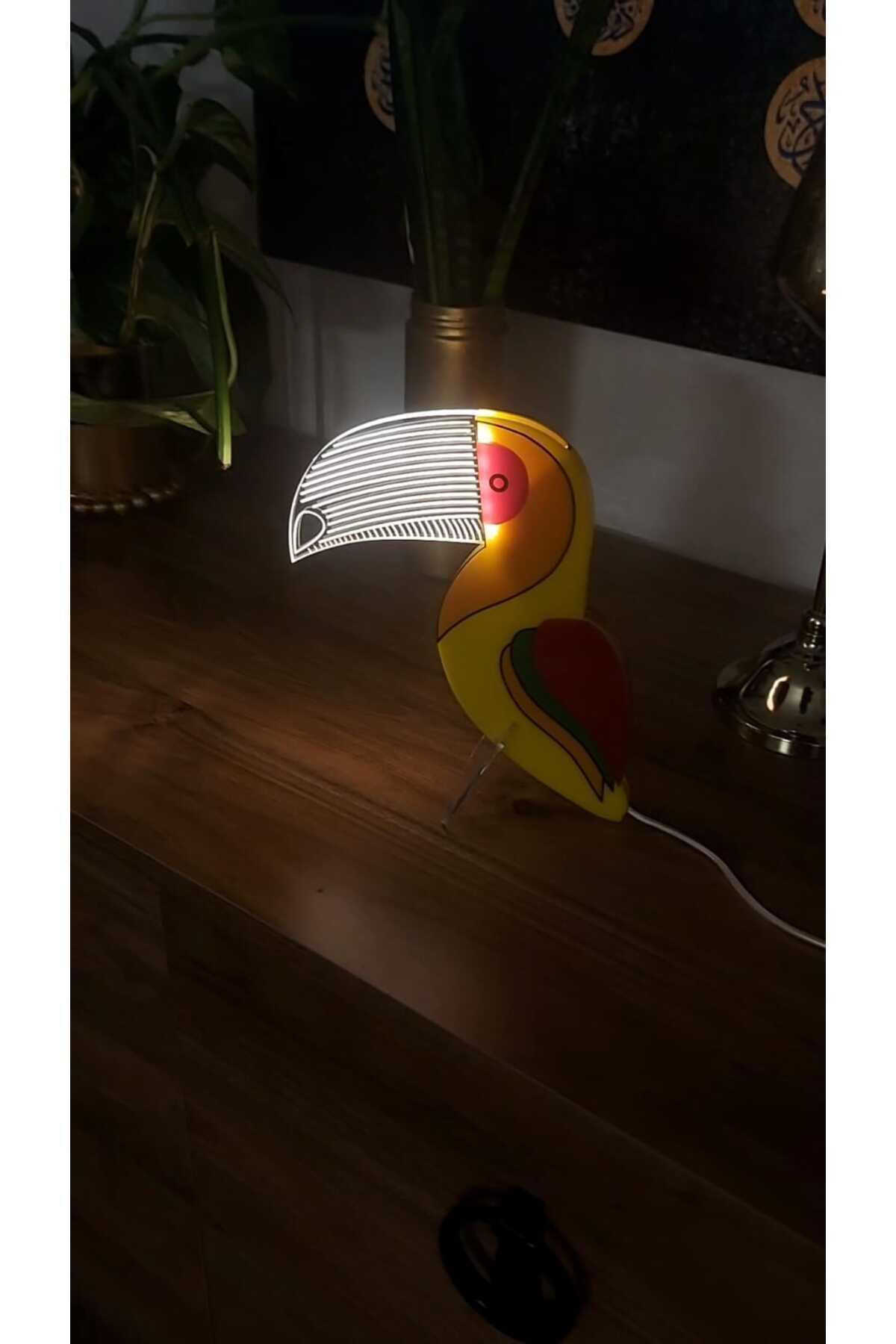 PlexiPlus Papağan Led Gece Lambası Yaratıcı Aydınlatma, Ev Için, Işıklar,aile Arkadaşlar Için Hediye