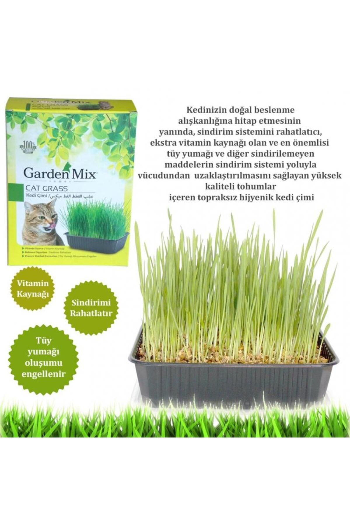 Gardenmix Garden Mix Kedi Çimi
