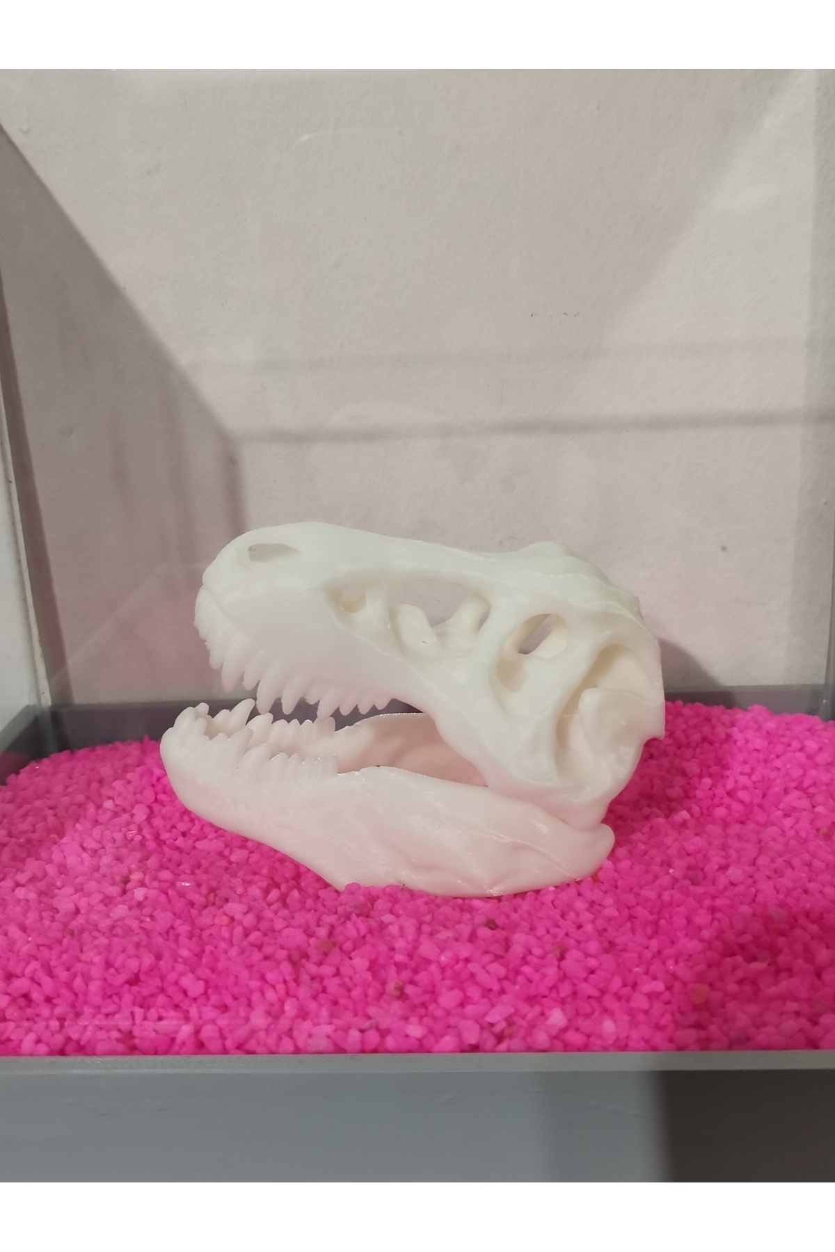 MDİZMİR Akvaryum Dekoru Dinozor Kafası ( Karışık Renkte ) Küçük Akvaryum ve Büyük Akvaryum Uygun