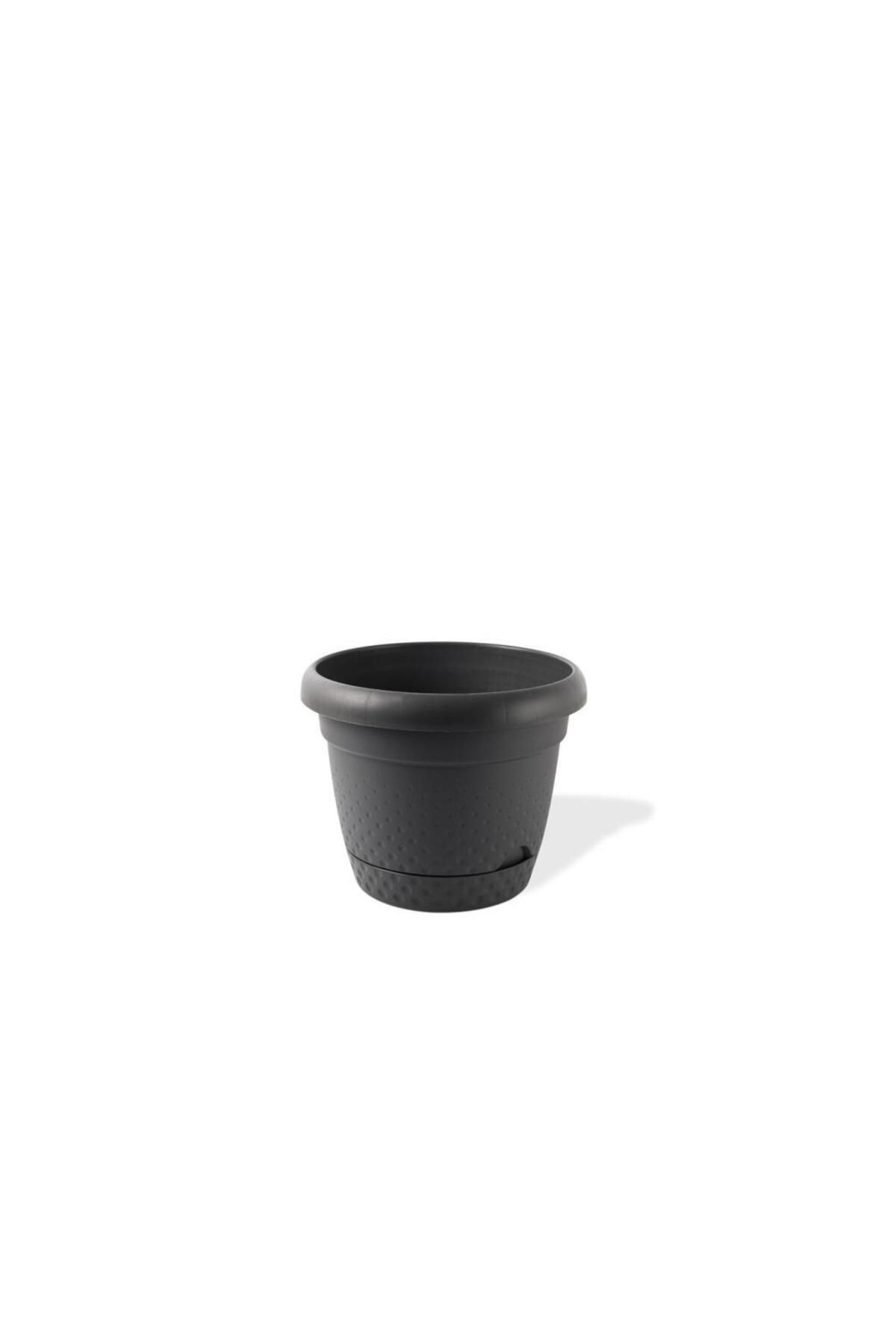 Omnipazar KRS-341 Dekoratif İnci Bitki Çiçek Saksı Takımı 1.1 Litre No 1