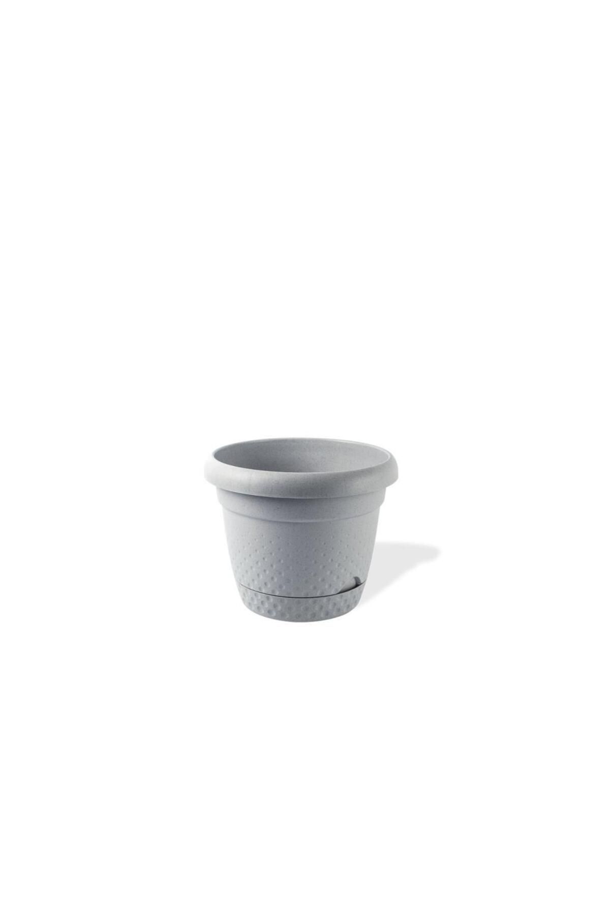 Omnipazar KRS-341 Dekoratif İnci Bitki Çiçek Saksı Takımı 1.1 Litre No 1