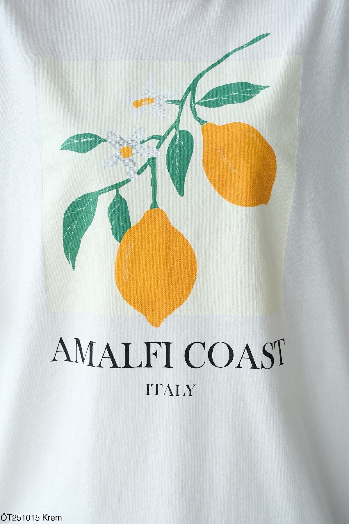 Jose Clothing Oversize Kesim Kısa Kollu Baskılı T-shirt