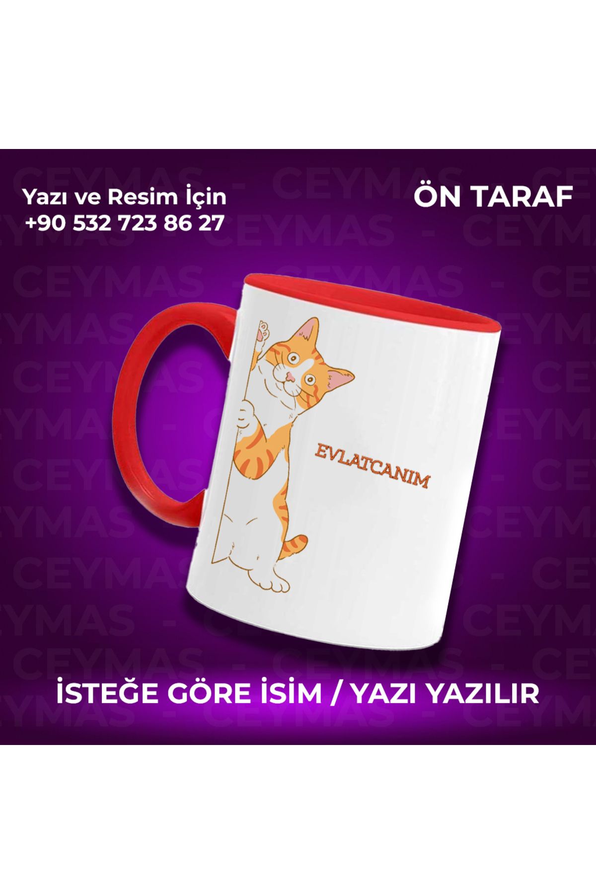 Ceymas Hediyelik Kişiye Özel Sarman Kedi Baskılı İsimli Renkli Kupa Bardak