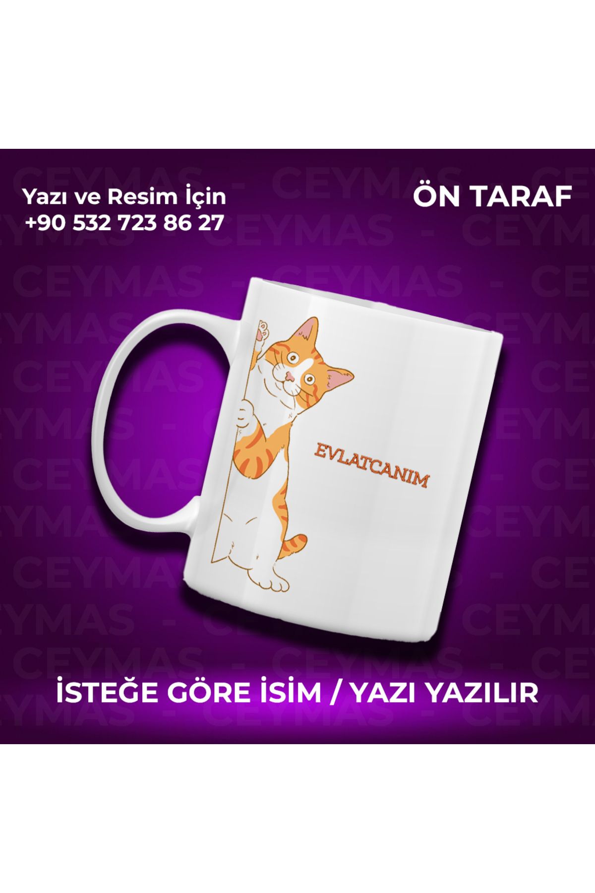 Ceymas Hediyelik Kişiye Özel Sarman Kedi Baskılı İsimli Renkli Kupa Bardak