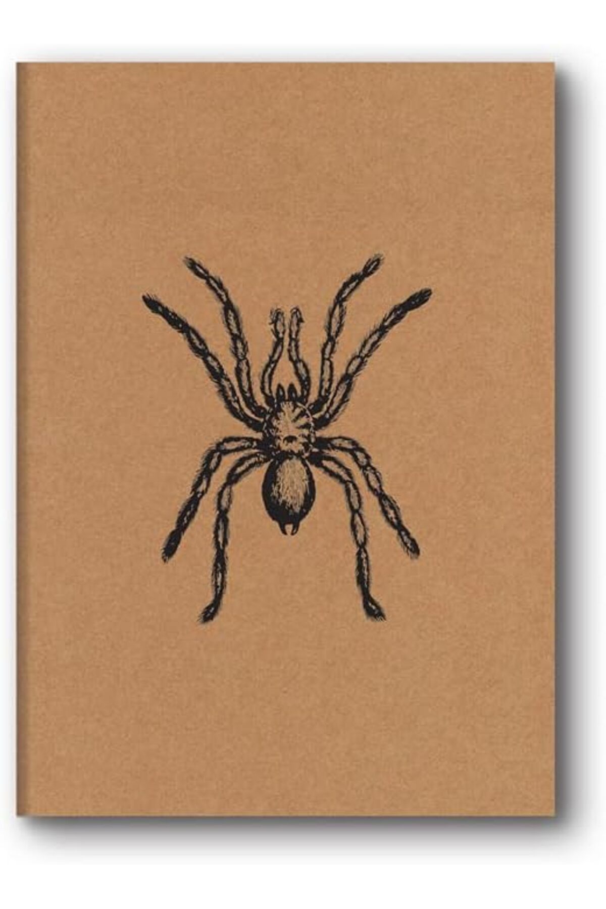 KDROĞLU KDROGLU Color Kraft Defter Düz Örümcek New Desing 1109836