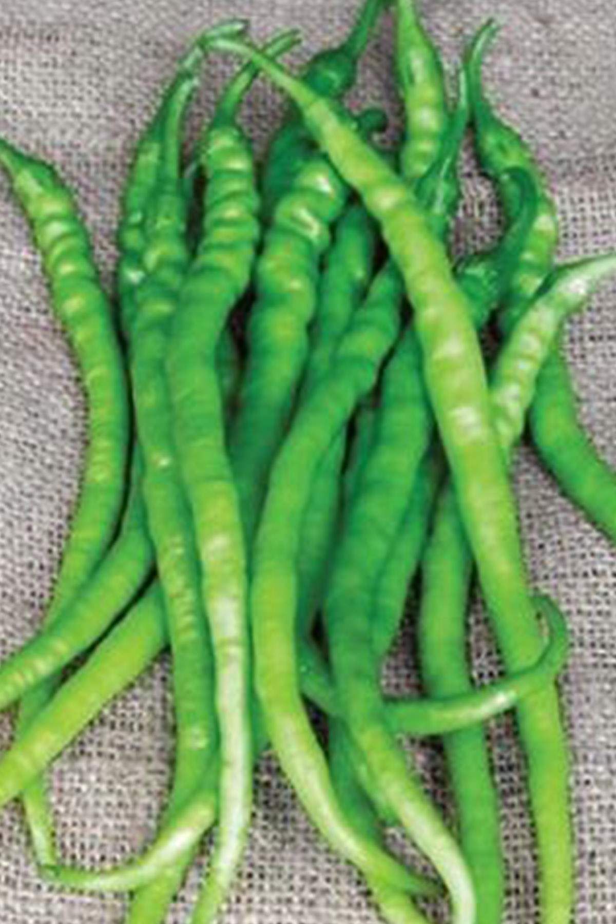 MBB ETİCARET Acı Kıl Biber Tohumu 10 Gr