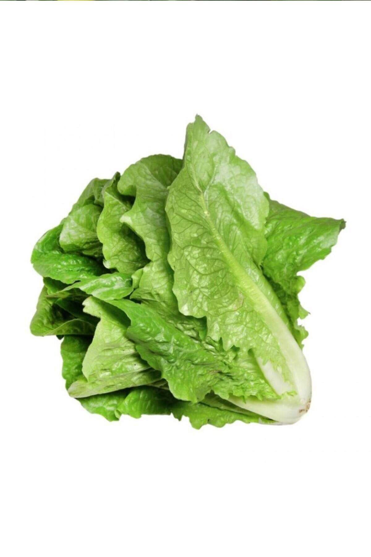 MBB ETİCARET Yedikule Marul Tohumu 10 Gr