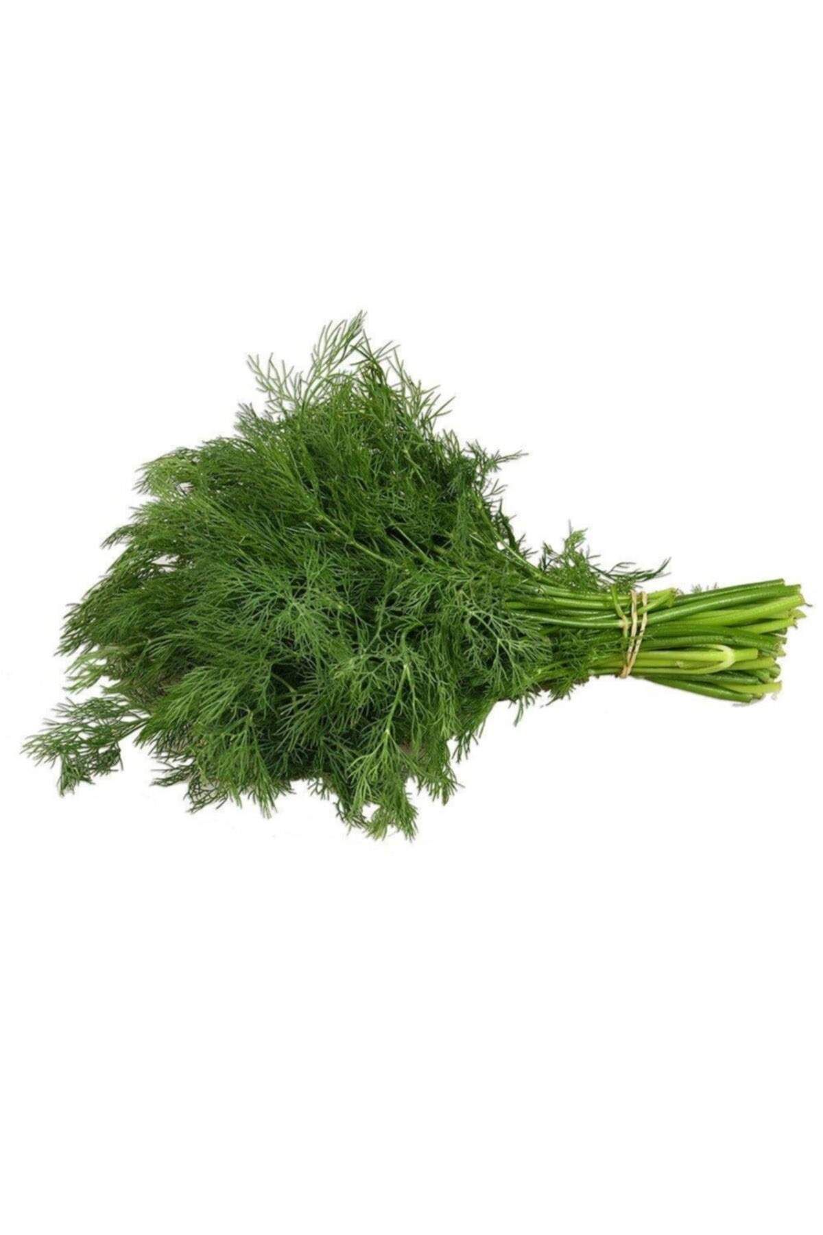 MBB ETİCARET Dere Otu Tohumu 10 Gr