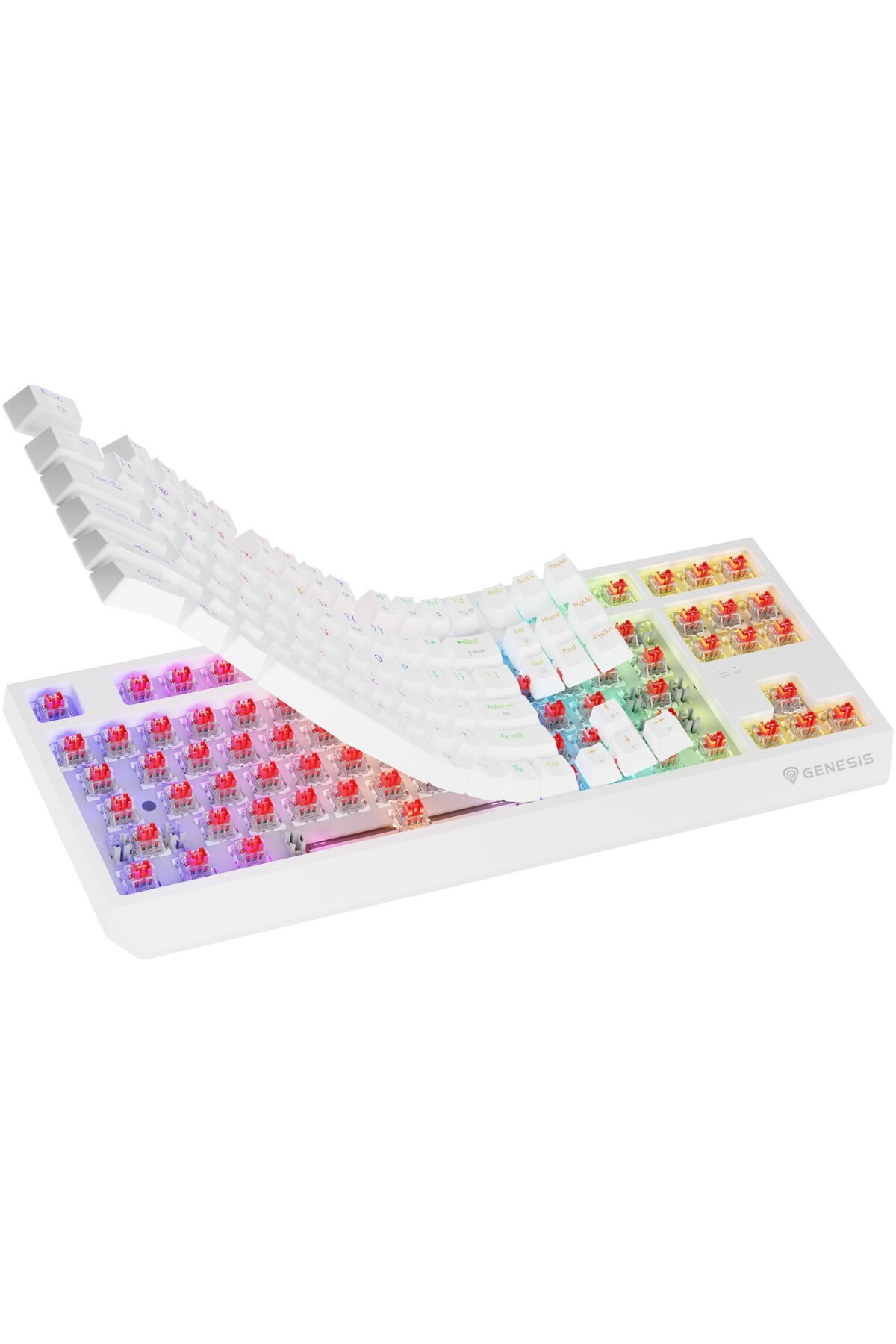 Genesis-Tastatura Wireless Gaming Genesis THOR 230 5