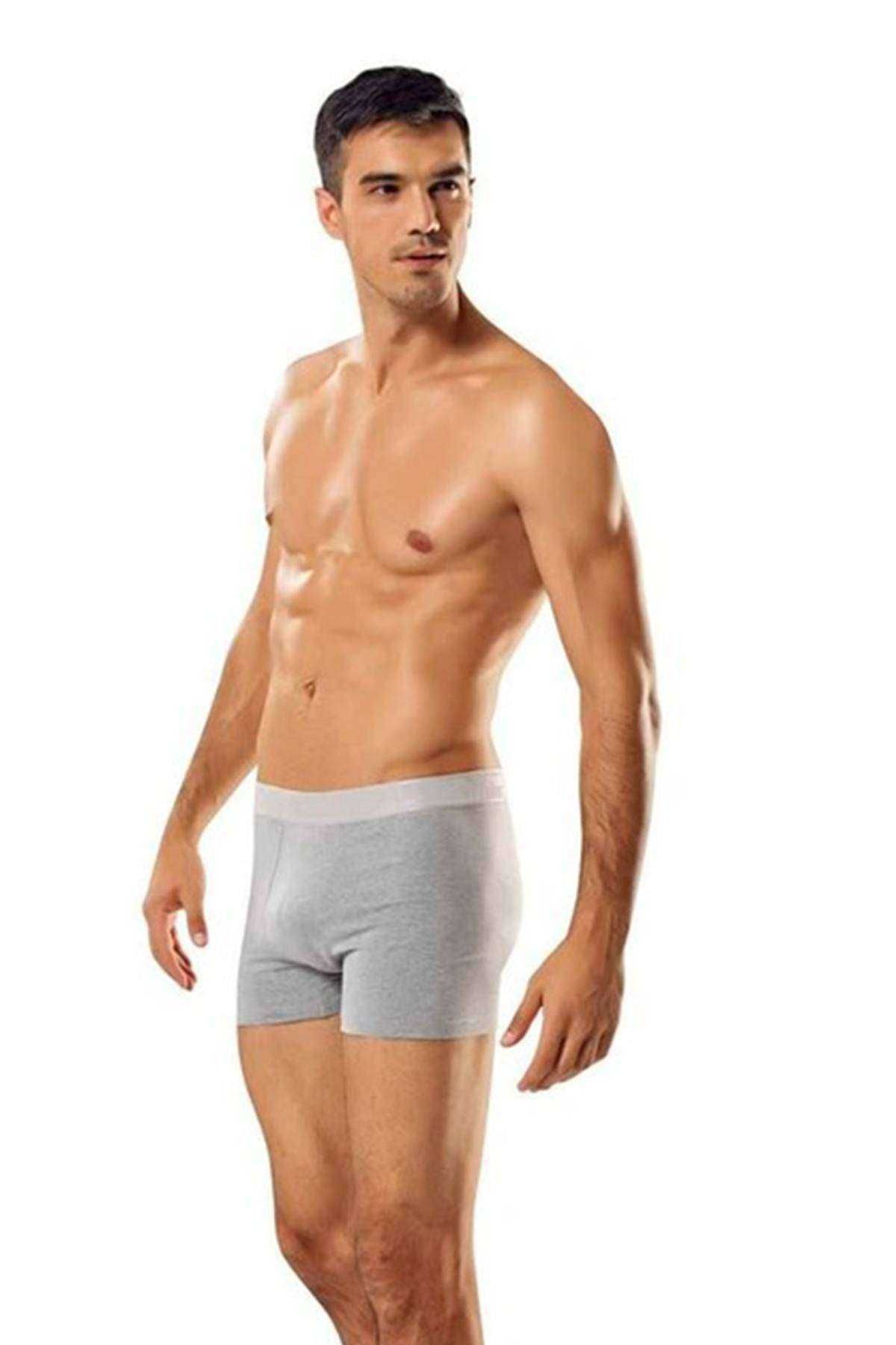 MBB ETİCARET 3 adet Tutku Likralı Erkek Gri Boxer 0114