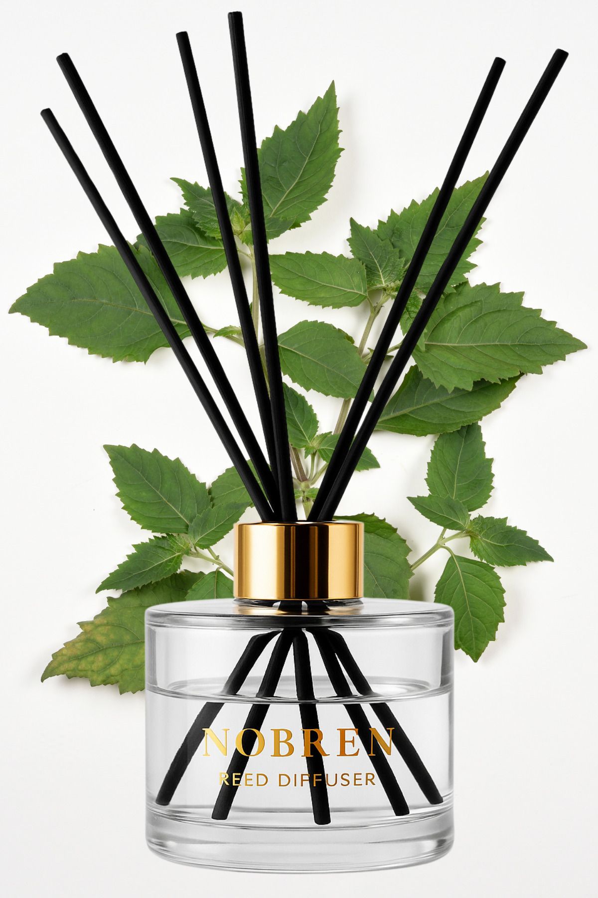 NOBREN Patchouli Dream 135 ml Çubuklu Ortam Kokusu