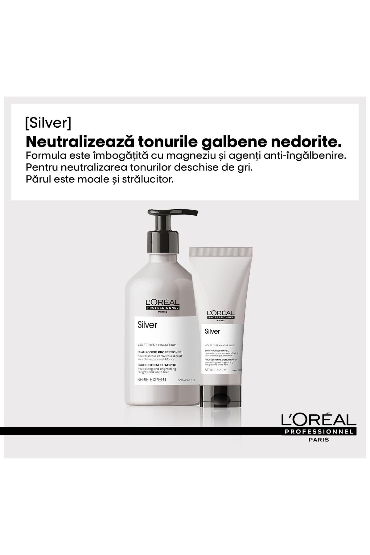 L'Oreal Paris-Sampon profesional LOreal Professionnel Serie Expert Silver 5
