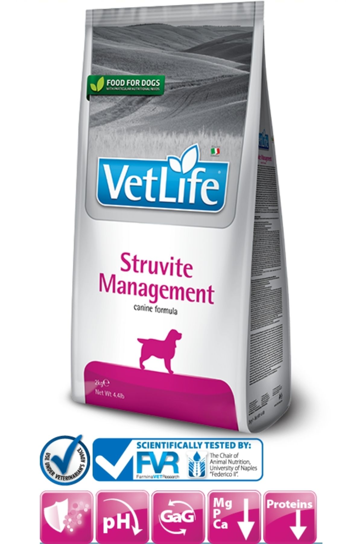 VETLİFE Vetlife natural diet dog struvite 2kg