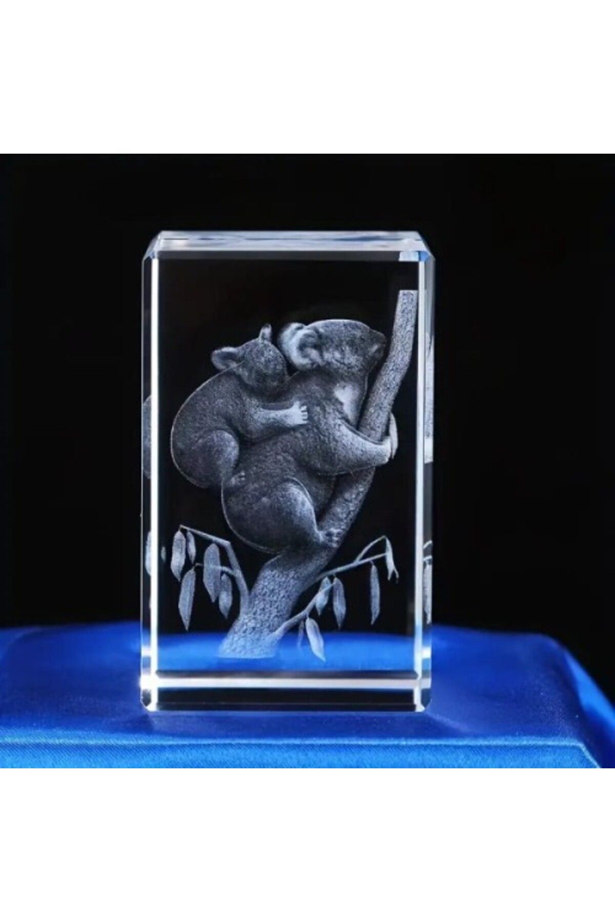 Otocub 3D Kristal Koala Modeli