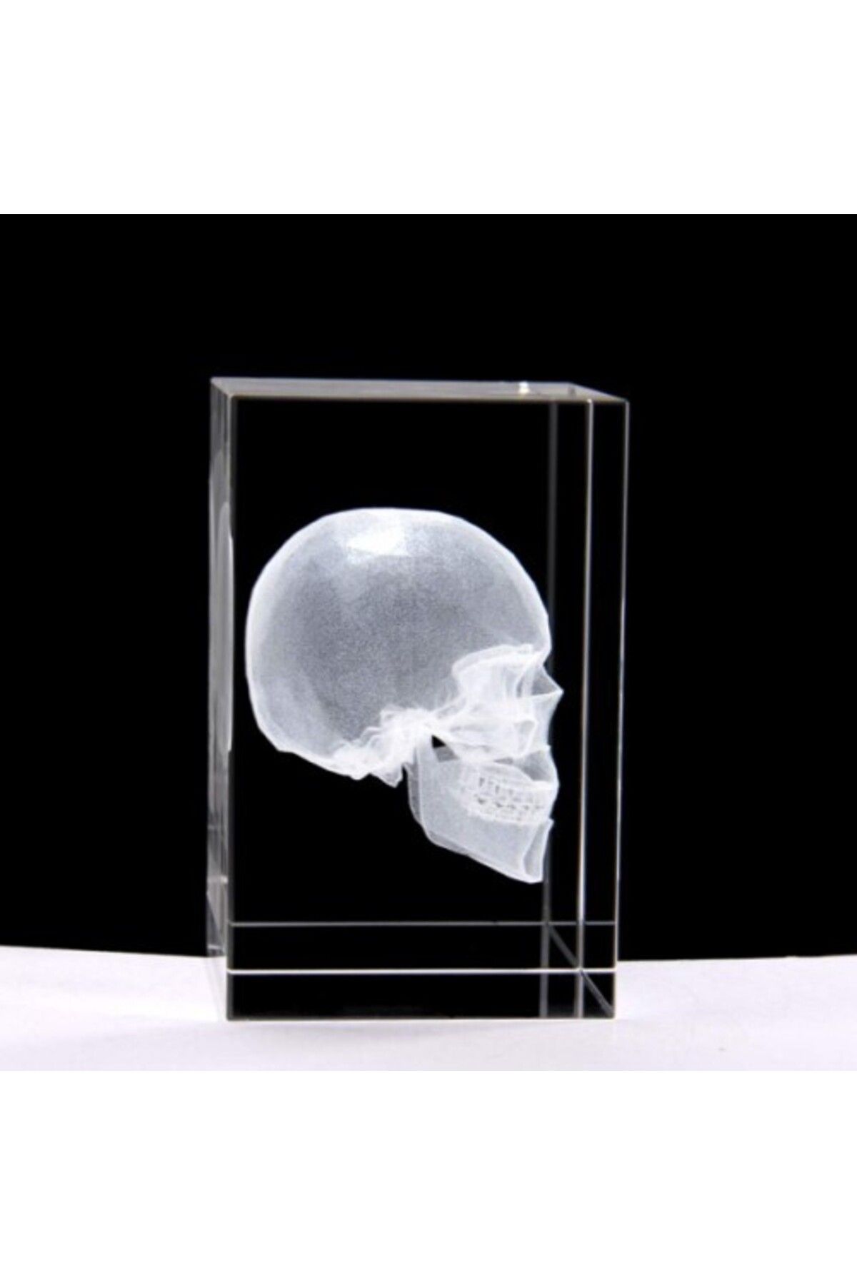 Otocub 3D Kristal Kafatası Modeli