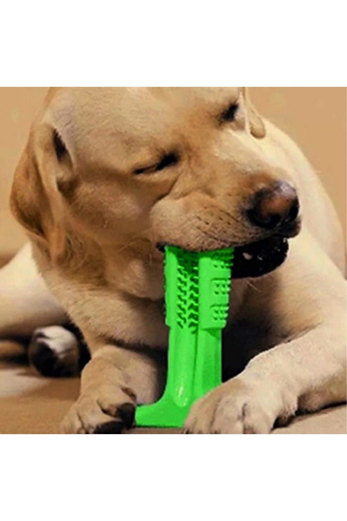 Shop58 Köpek Diş Temizleyici ve Kaşıyıcı Sağlıklı Küçük Boy Oyuncak (4172)