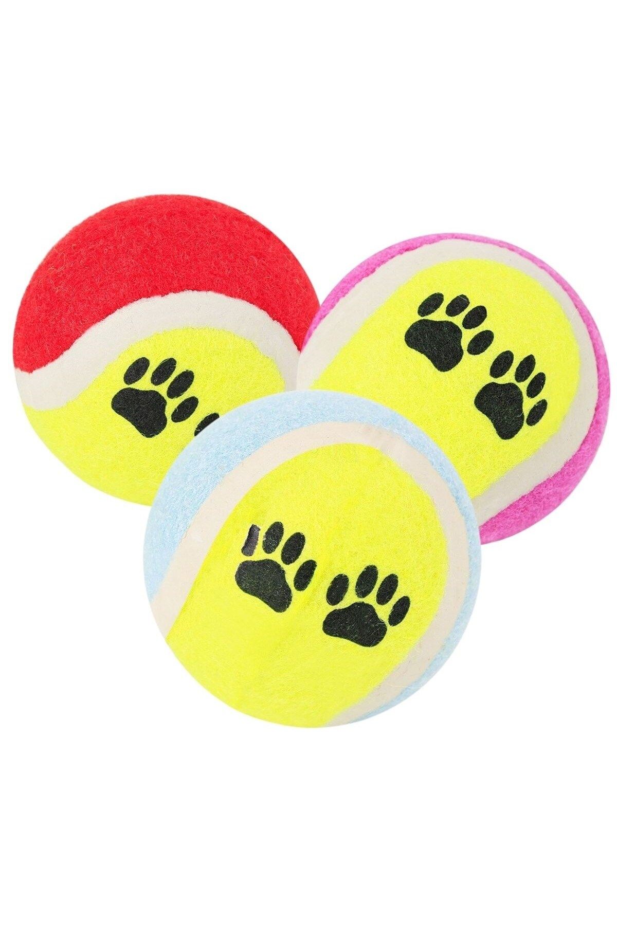 Shop58 3&apos;lü Renkli Desenli Tenis Topu Kedi Köpek Oyuncağı (4172)