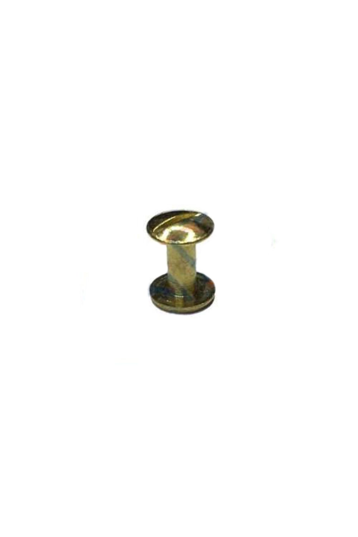 TimeStart Cilt Menü, Katalog, Kartela Vidası, 9 mm - Sarı, 1 Adet
