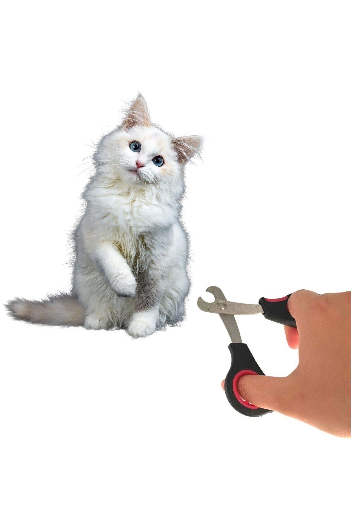 Emperium Büyük Kedi Çelik Uçlu Evcil Hayvan Tırnak Makası Pati Bakım Aleti Ergonomik Kaymaz (5122)