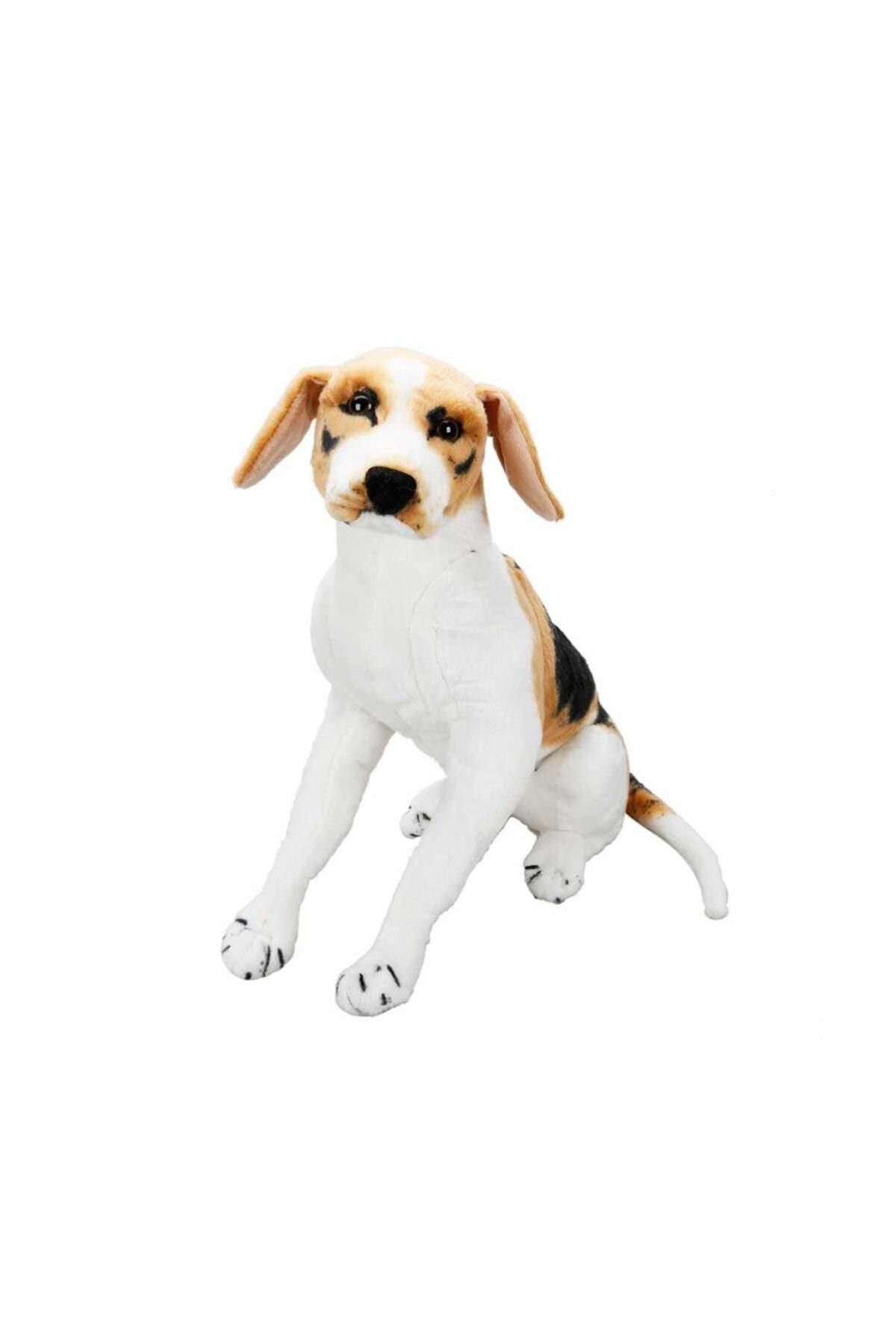 Shop58 01409 Oturan Beagle Köpek Peluş 68 cm