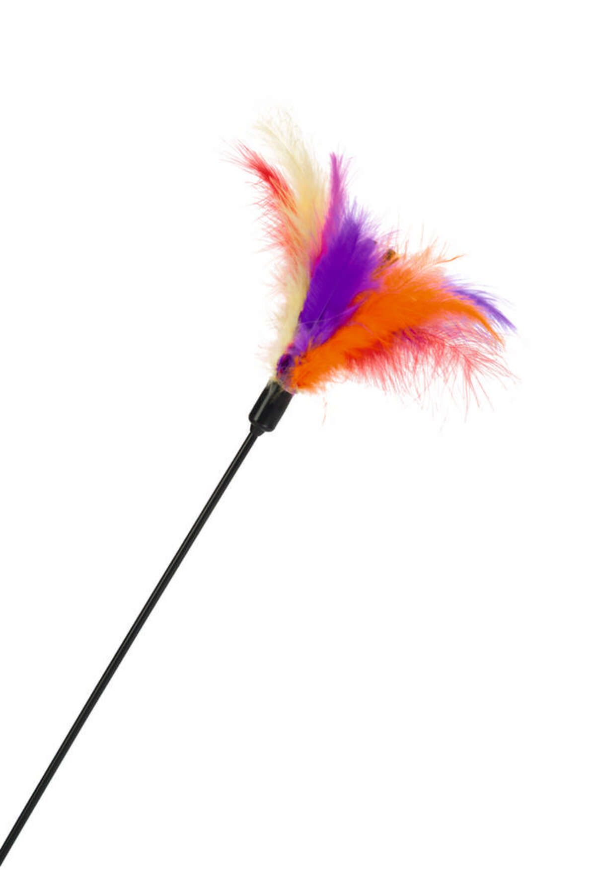 Beeztees Kedi Oltası, Tüylü Uc-12cm, 45cm SVLRS