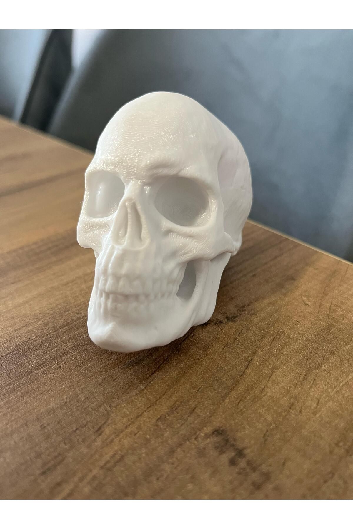 3DMasterLayers Dekoratif Kuru Kafa dekoraasyon, beyaz, 3d, baskı