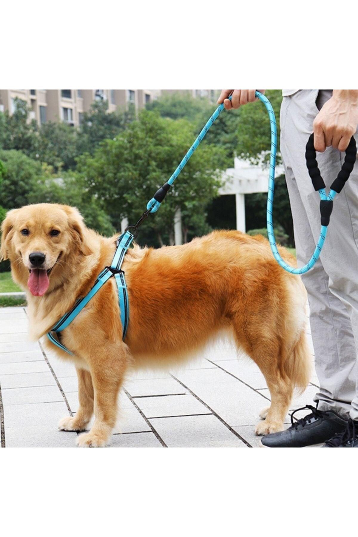 Emperium Reflektörlü Fosforlu Köpek Gezdirme Halatı Tasma Kayışı Metal Kancalı 130 cm (5122)