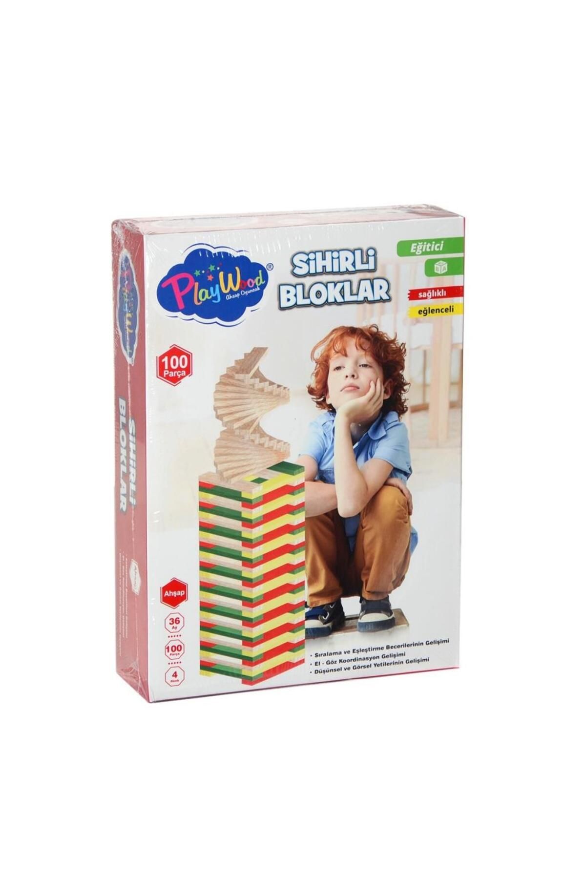 Shop58 ONY-358 Ahşap 100 Parça Sihirli Bloklar