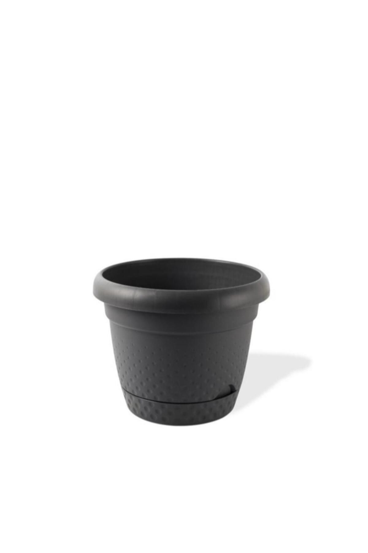 Omnipazar KRS-345 Dekoratif İnci Bitki Çiçek Saksı Takımı 15.3 Litre No 5