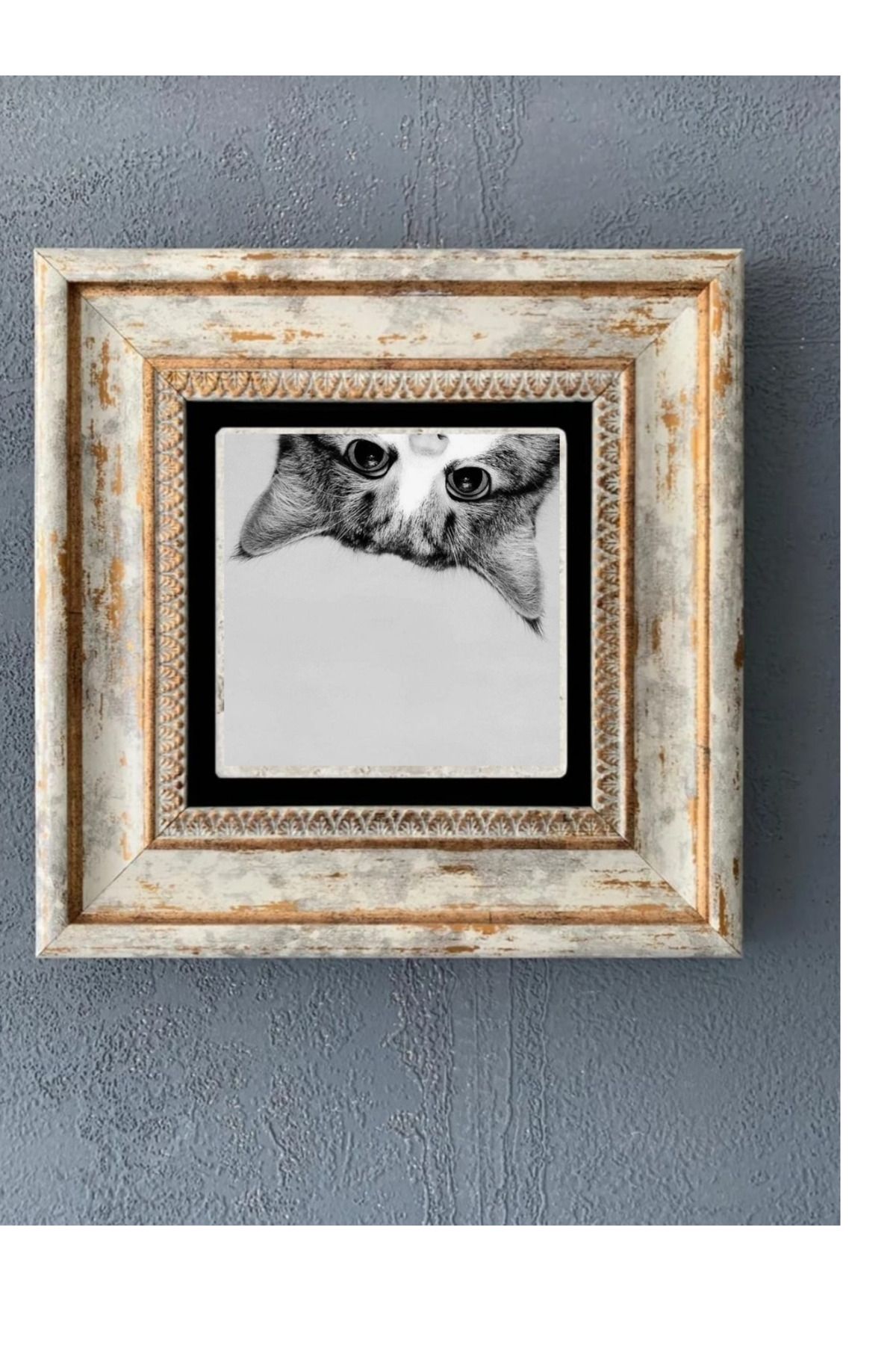 STONEVİVEART Kedicikler Duvar Tablosu 20x20 Cm 4 Adet Doğaltaş Duvar Dekoru