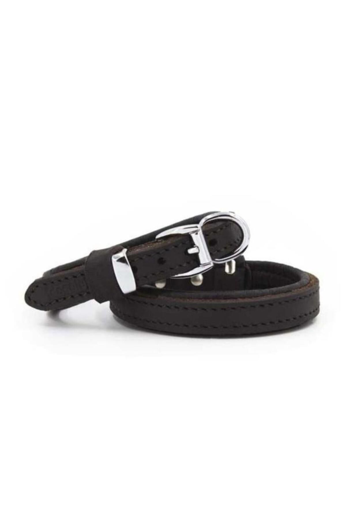 O Dog Doggie Yağlı Deri Köpek Boyun Tasması Medium Kahverengi 1.5x25-30 Cm