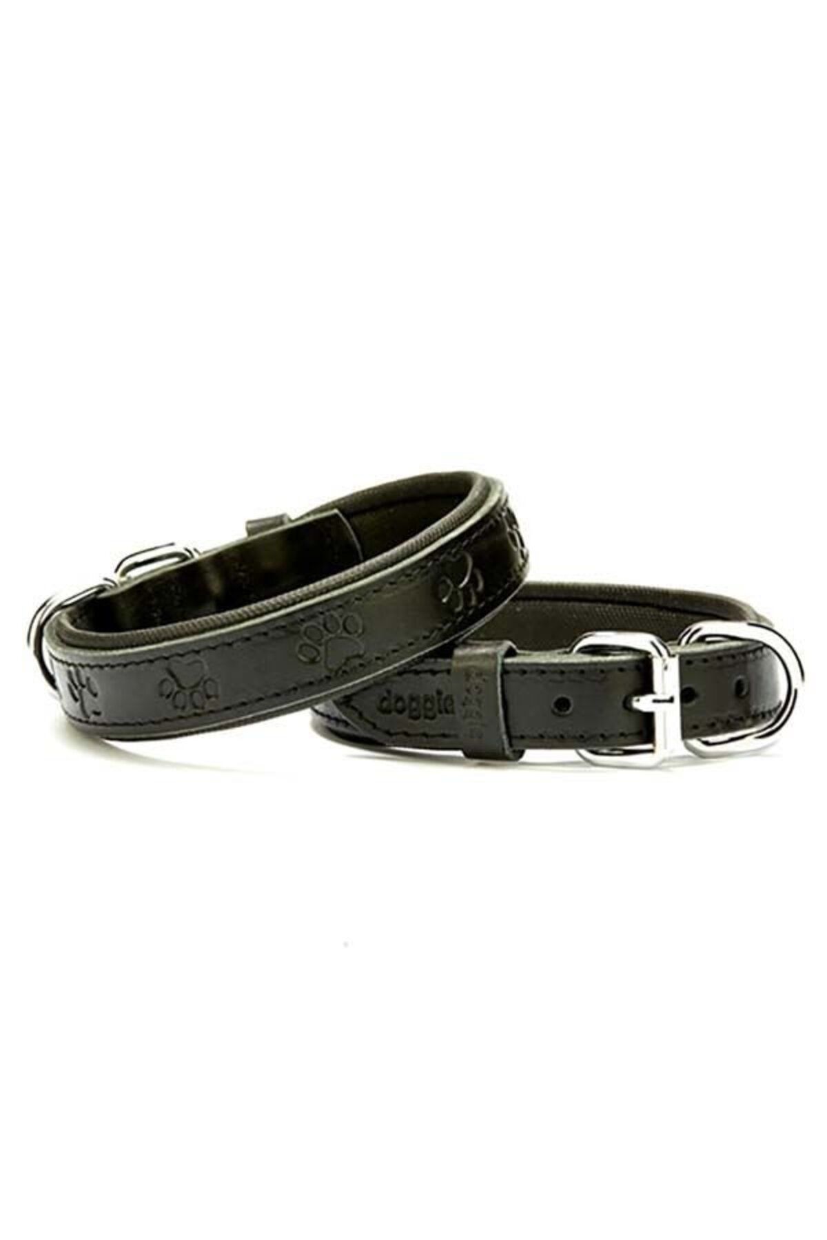 O Dog Doggie Comfort Deri Pati Desenli Köpek Boyun Tasması Medium Siyah 2.5x37-45 Cm - Petshopundan