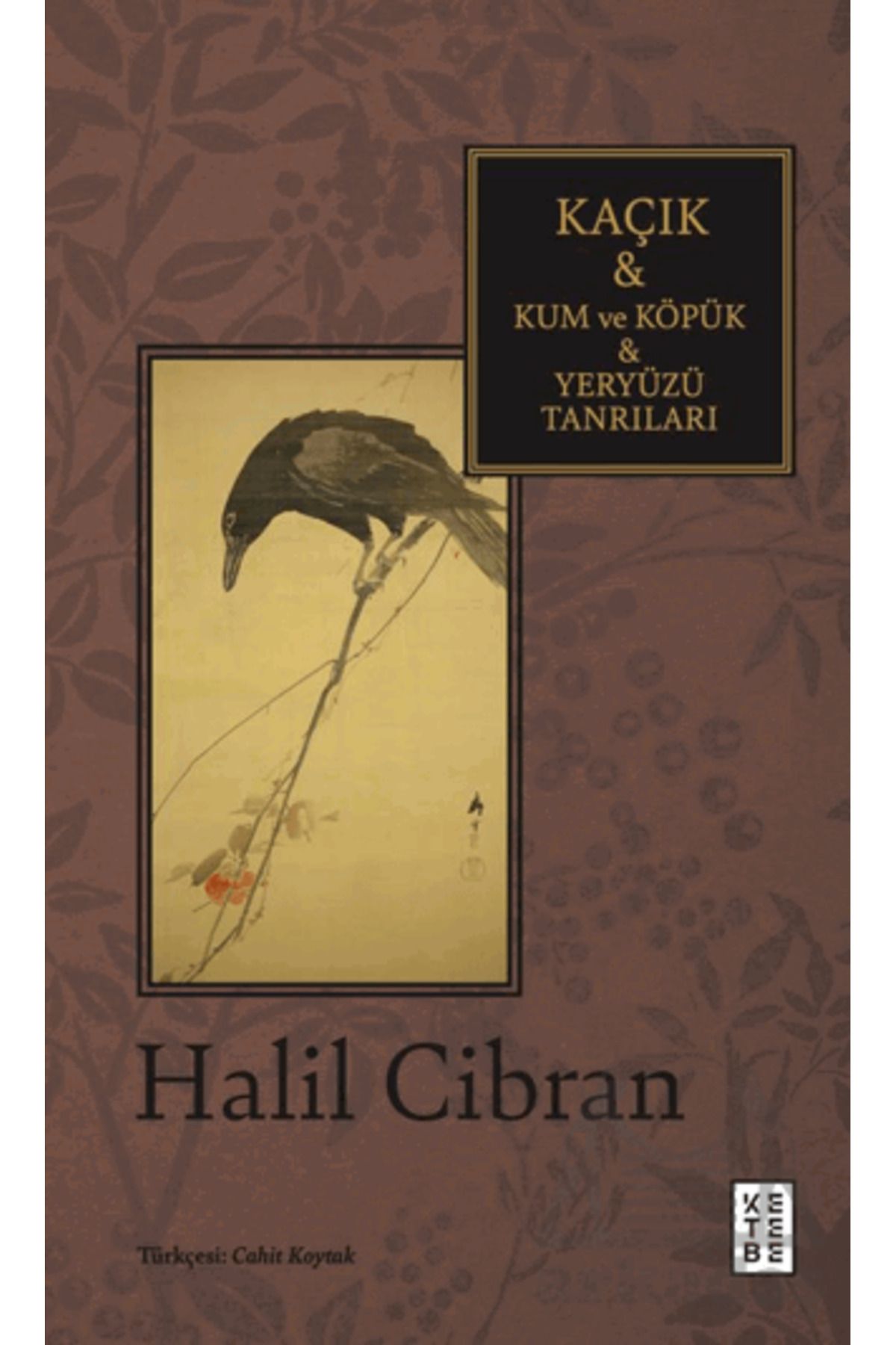 Ketebe Yayınları Kaçık & Kum Ve Köpük & Yeryüzü Tanrıları