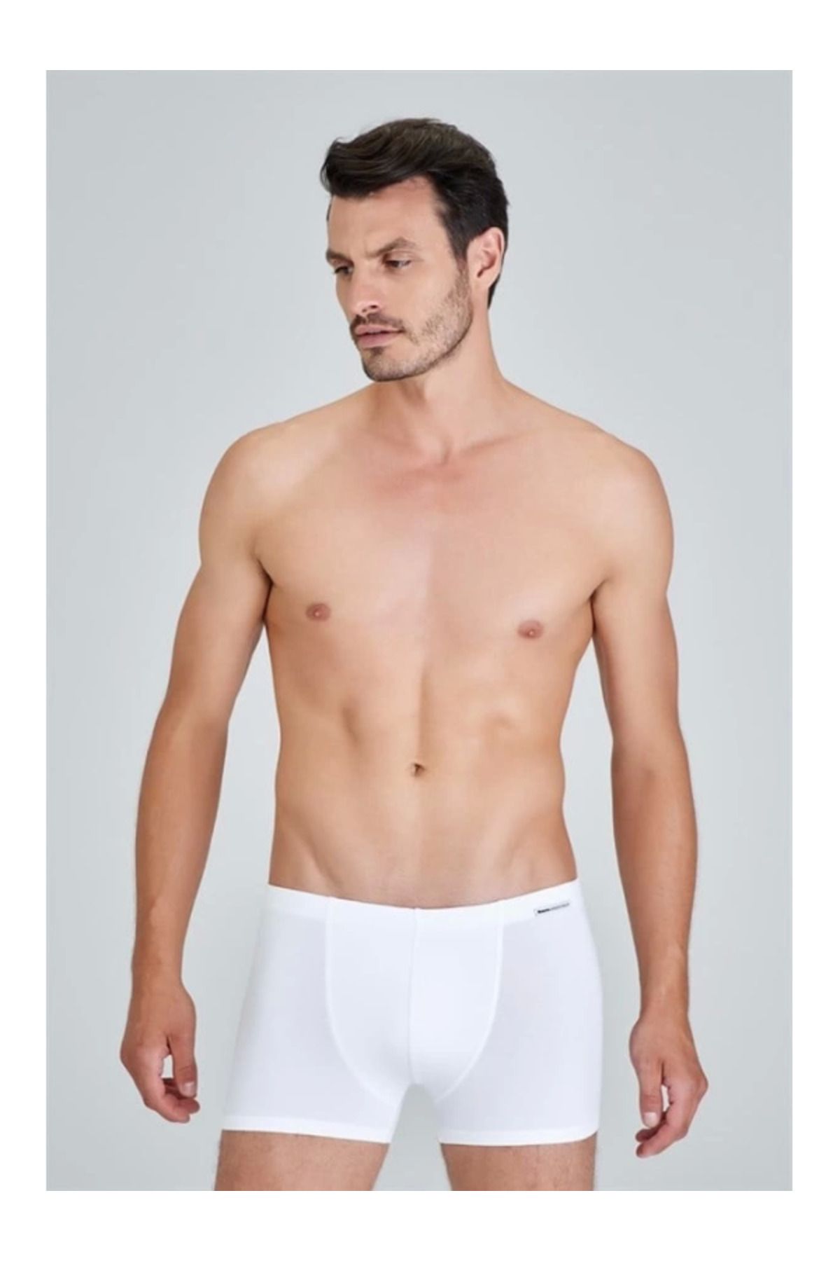 kapsulavm Kom Davide Boxer