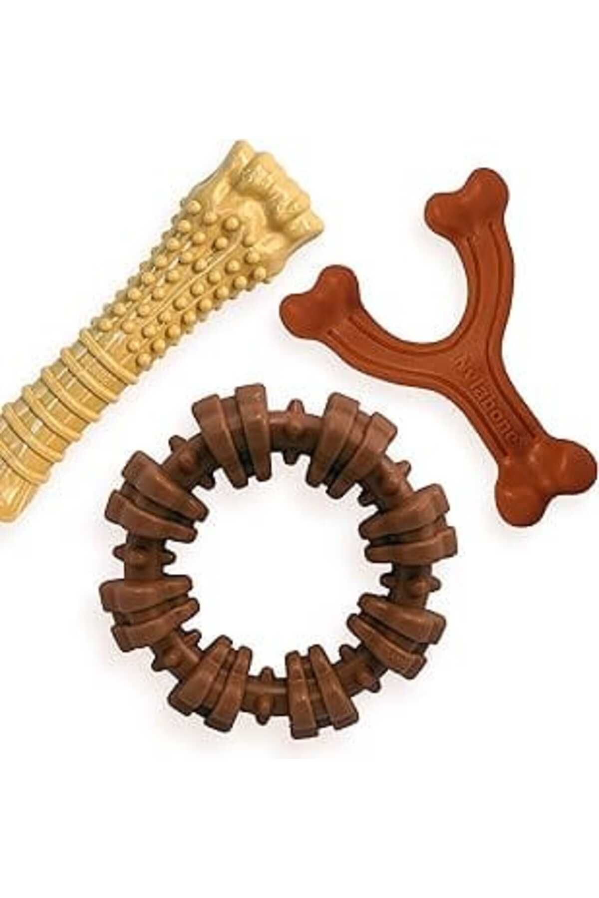 robotrend Nylabone Power Chew Toys Müşteri Favorileri Paketi - Agresif Çiğneme Köpek Köpek Oyuncaklarıı, Büyü