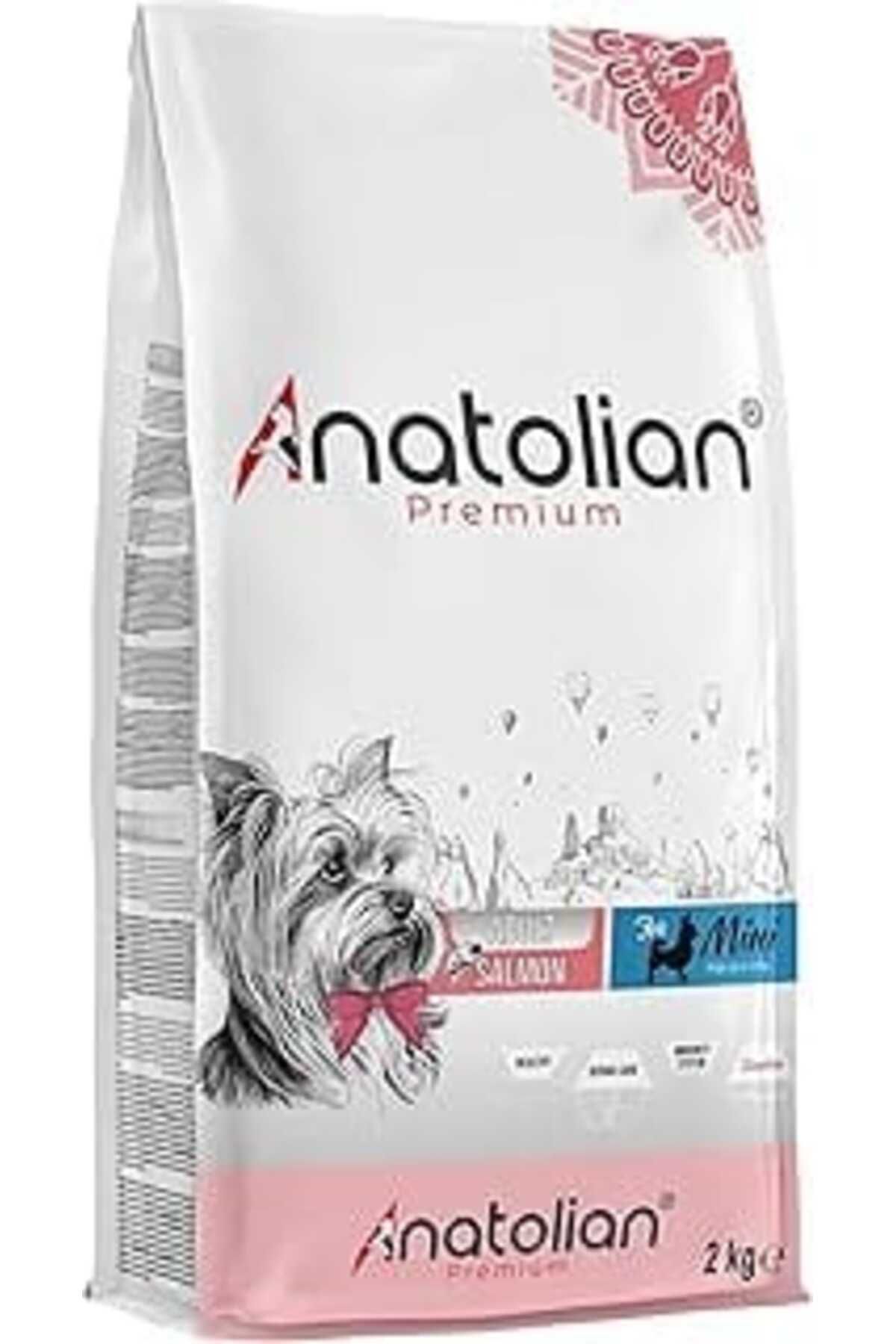 NETWORK ART Anatolian Premium Mini Adult Salmon Somonlu Yetişkin Küçük Irk Köpek Maması 2 Kg
