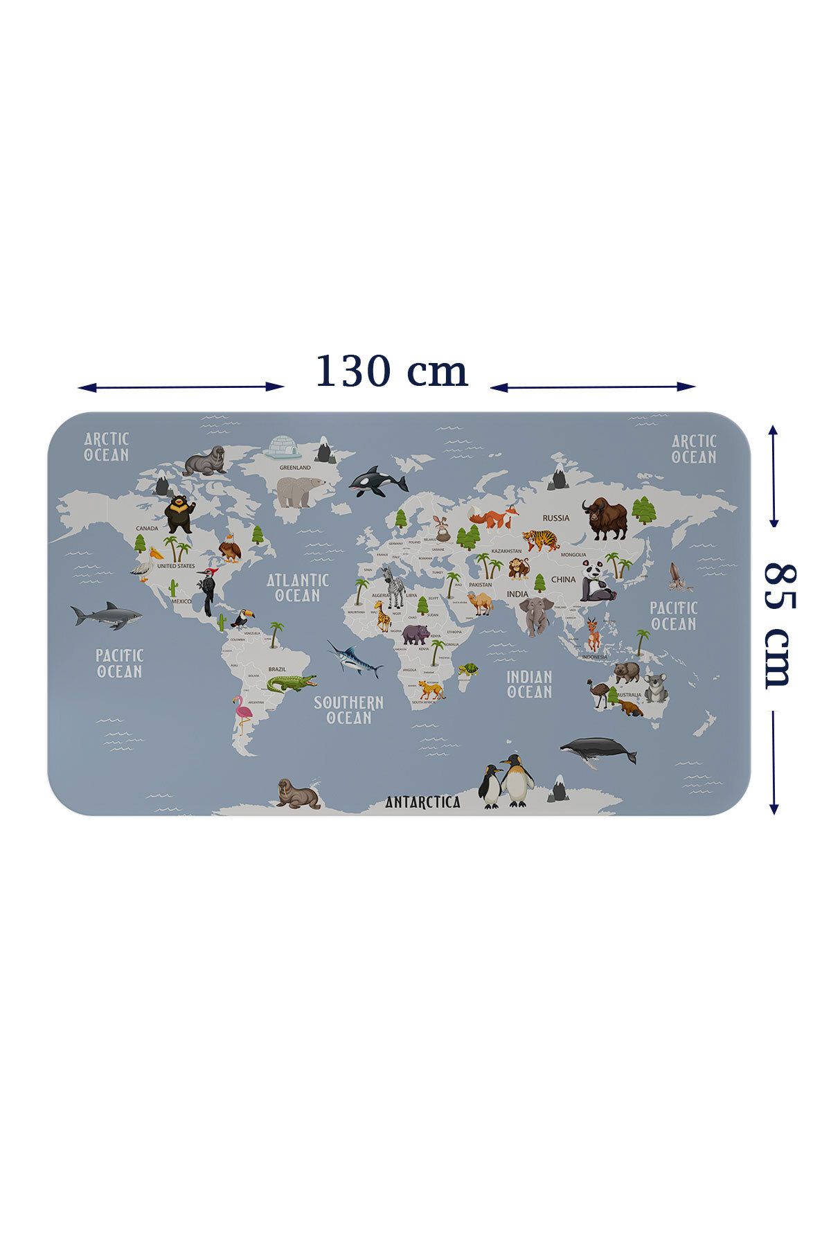 bluvex Eğitici Dünya Haritası Dünya Atlası Çocuk ve Bebek Odası Duvar Sticker-85x130-3789