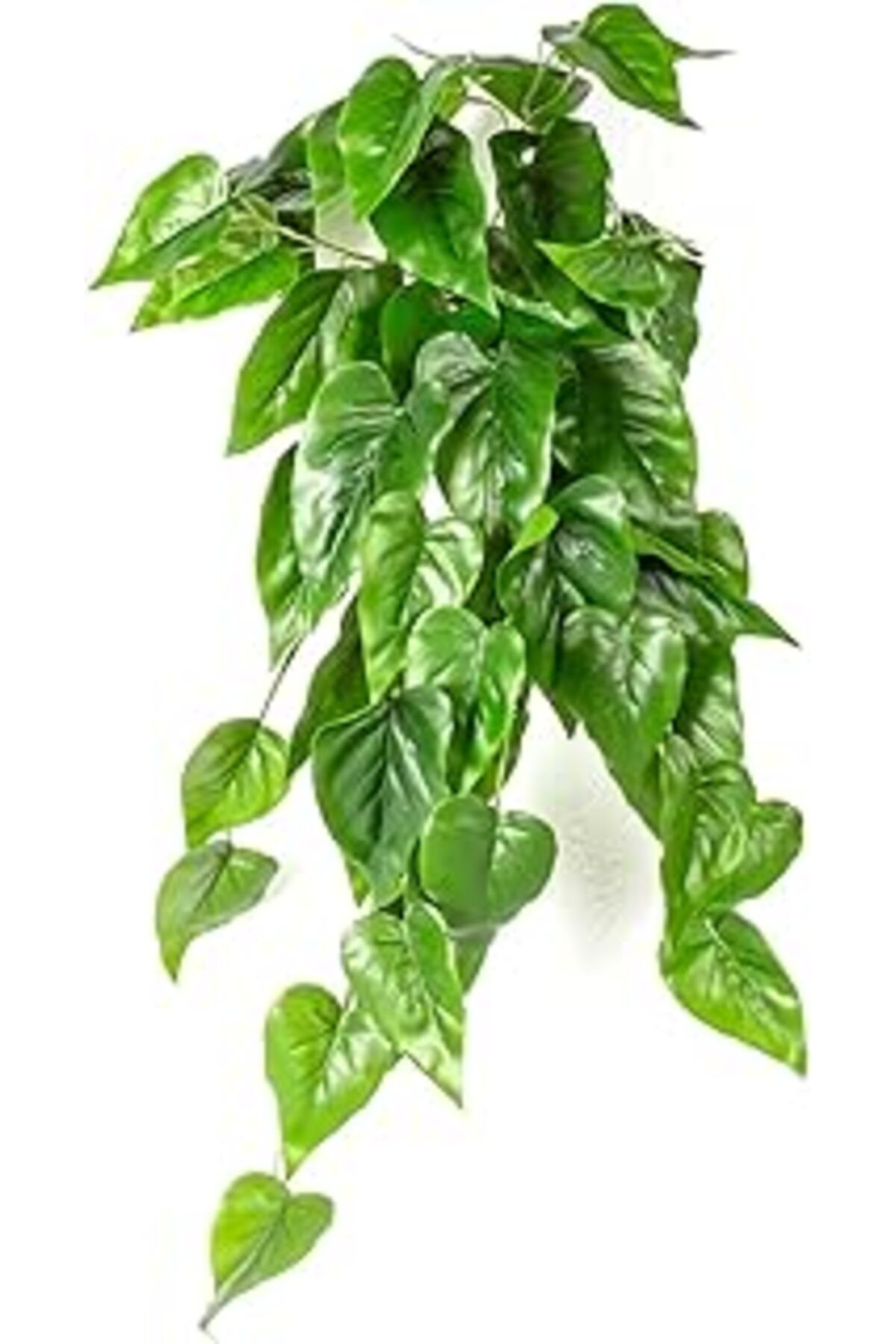 Mu Art Ahşap Herdekora Yapay Bitki Asılabilir Sarmaşık Anthurium-Antoryum Gerçek Dokulu Yeşil 70 Cm.