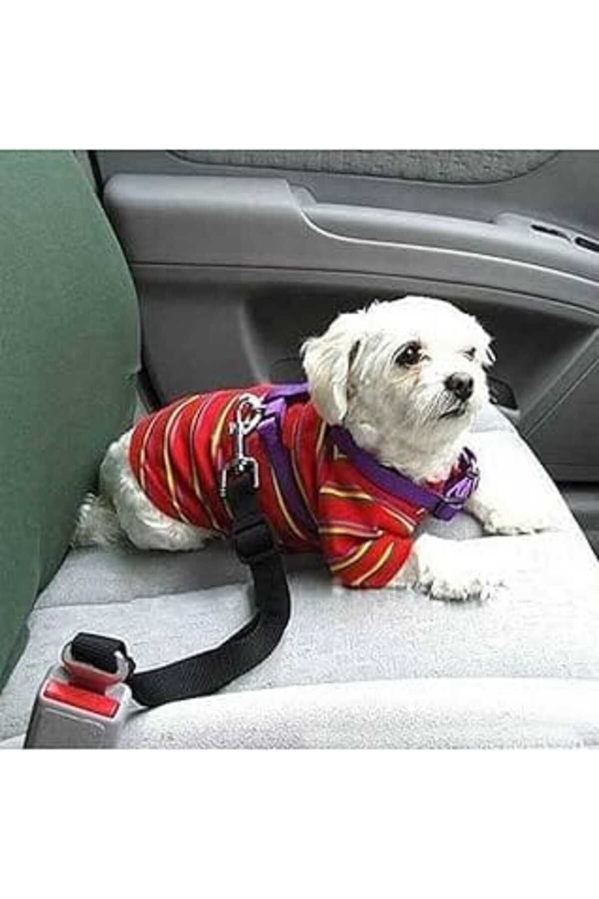 NZM TİCARET Köpek Emniyet Kemeri Ve Gezdirme Tasması - Tüm Araçlara Uyumlu - Köpek Araba Seyahat Kemeri