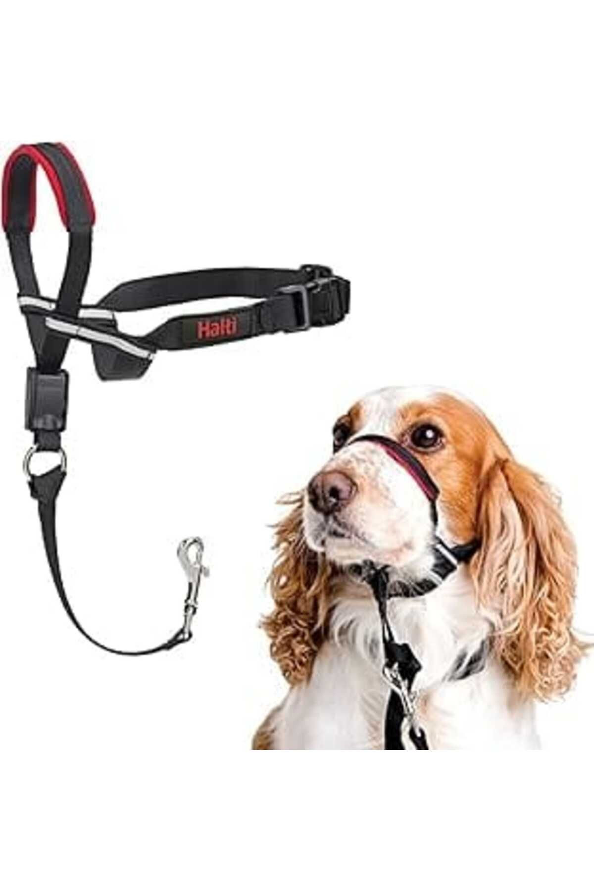 Mu Art Company Of Animals Halti Optifit Ağızlıklı Tasma, Orta Boy Siyah