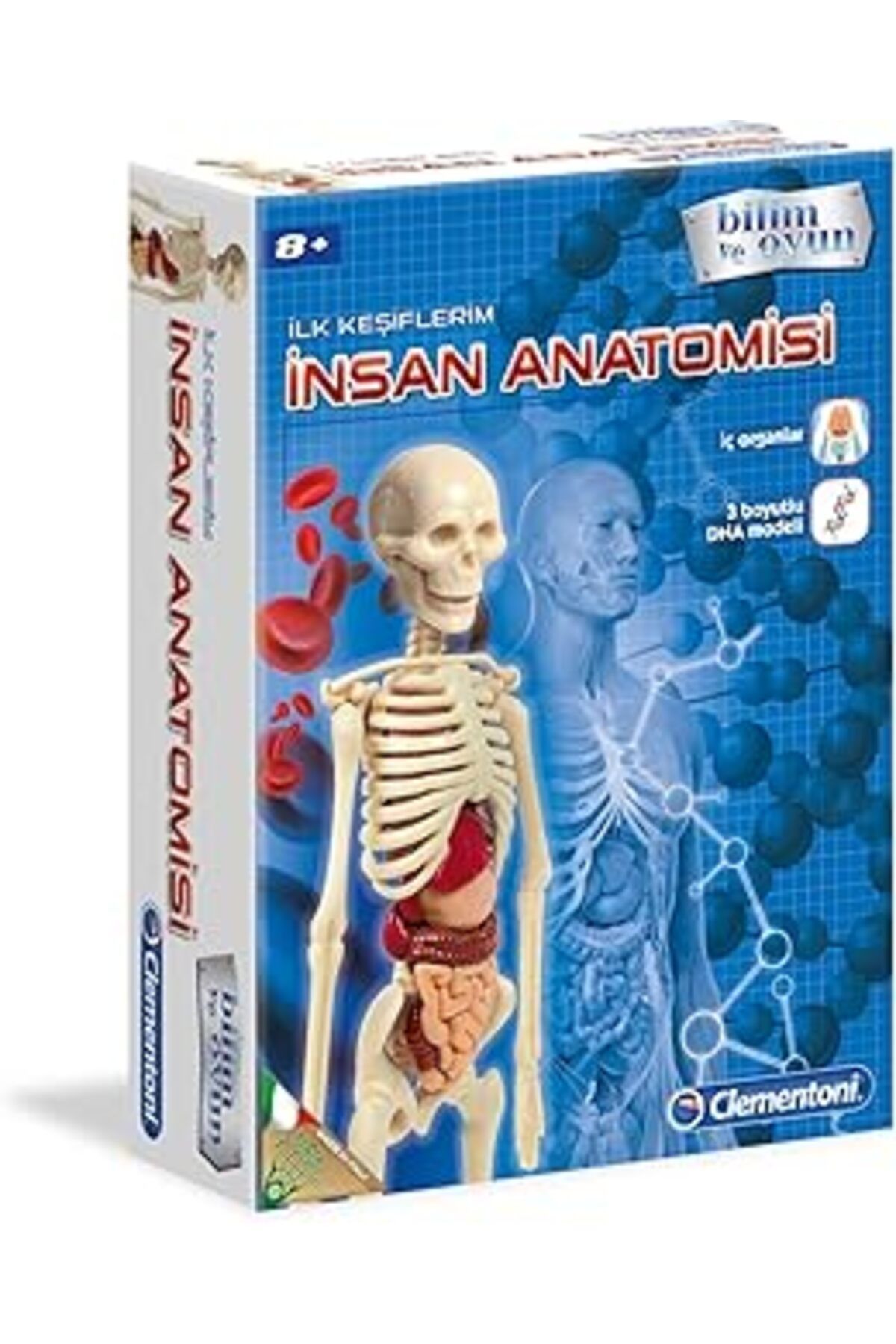 Pazarcan Bilim Ve Oyun - İnsan Anatomisi Oyuncak