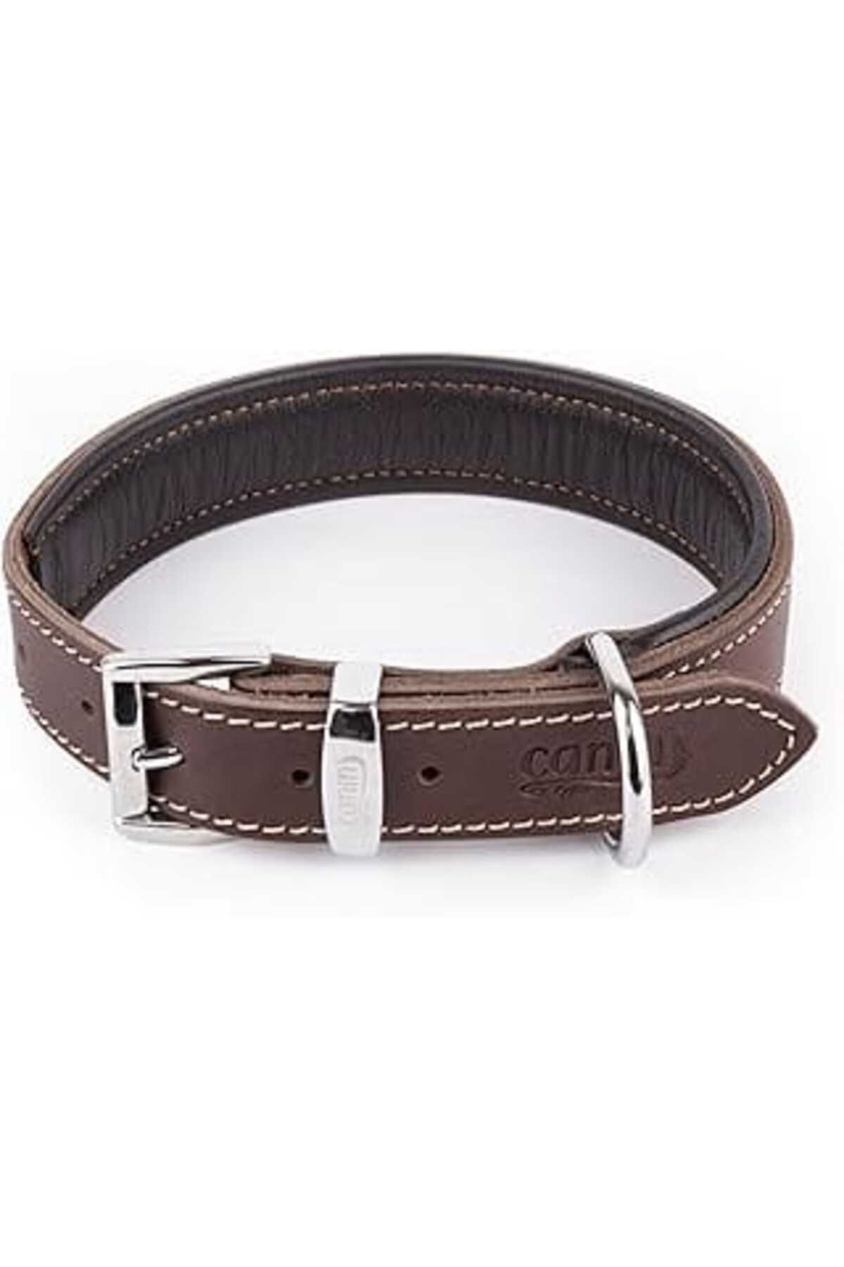 NZM TİCARET Canini Collar Hakiki Yağlı Deri Köpek Tasma, Yumuşak İç Deri Kısım, Ultra Dayanıklı Ve Konforlu Der